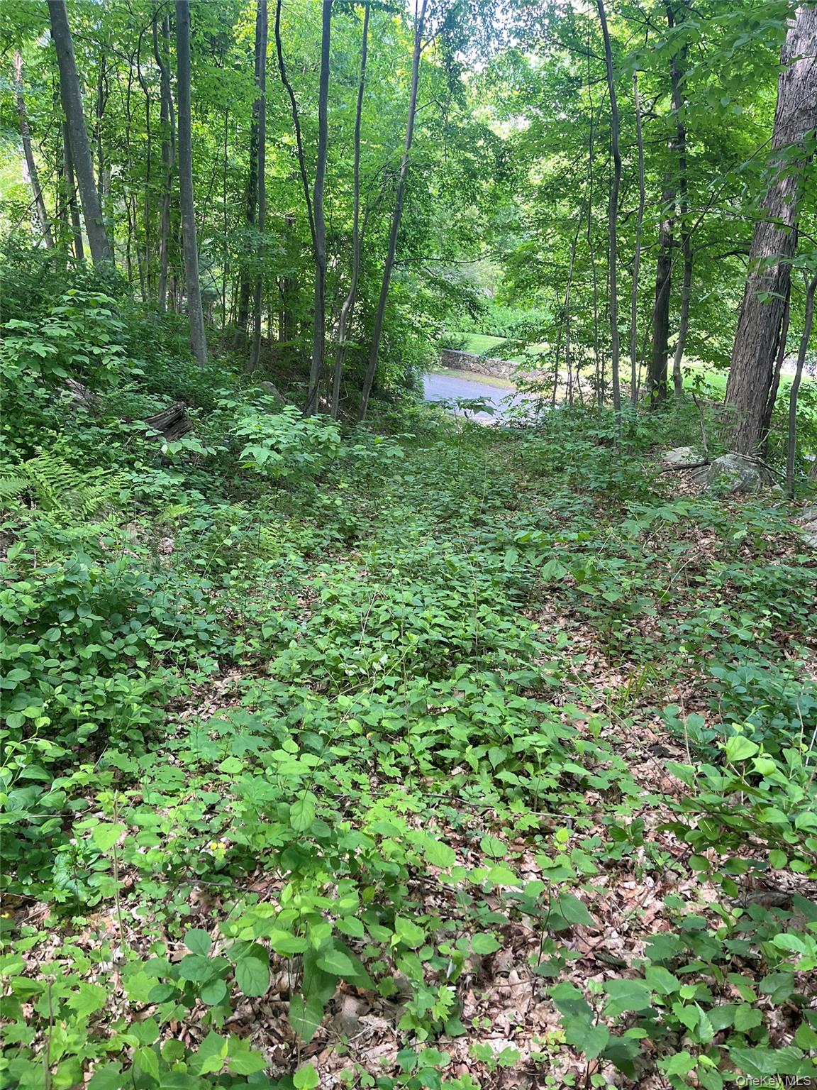 0 Old Church Road Property Photo 2