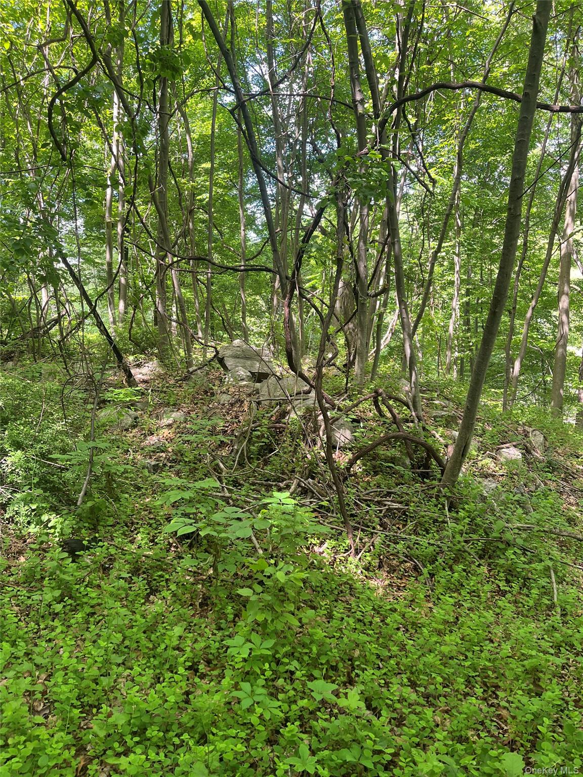 0 Old Church Road Property Photo 6