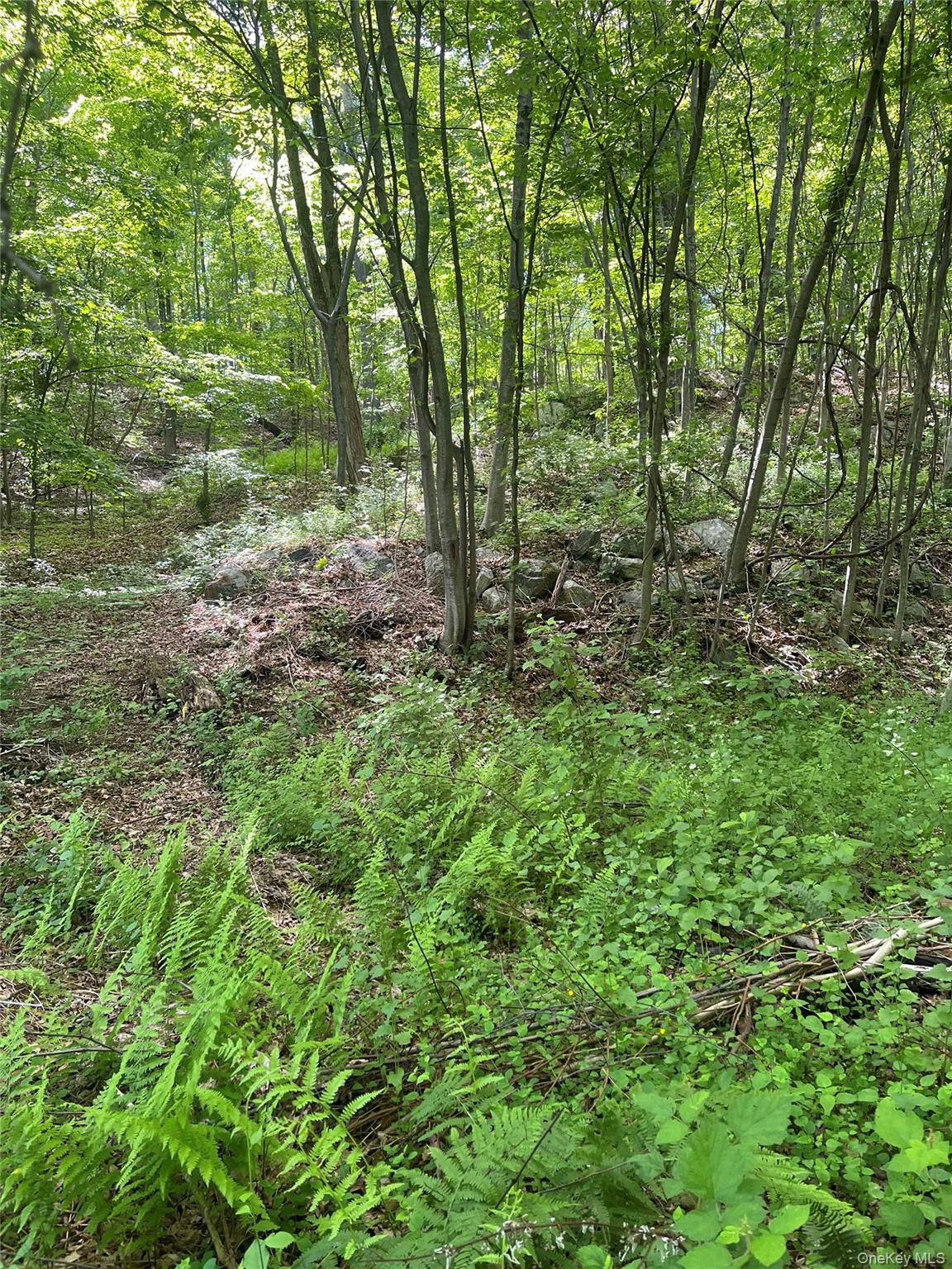 0 Old Church Road Property Photo 8