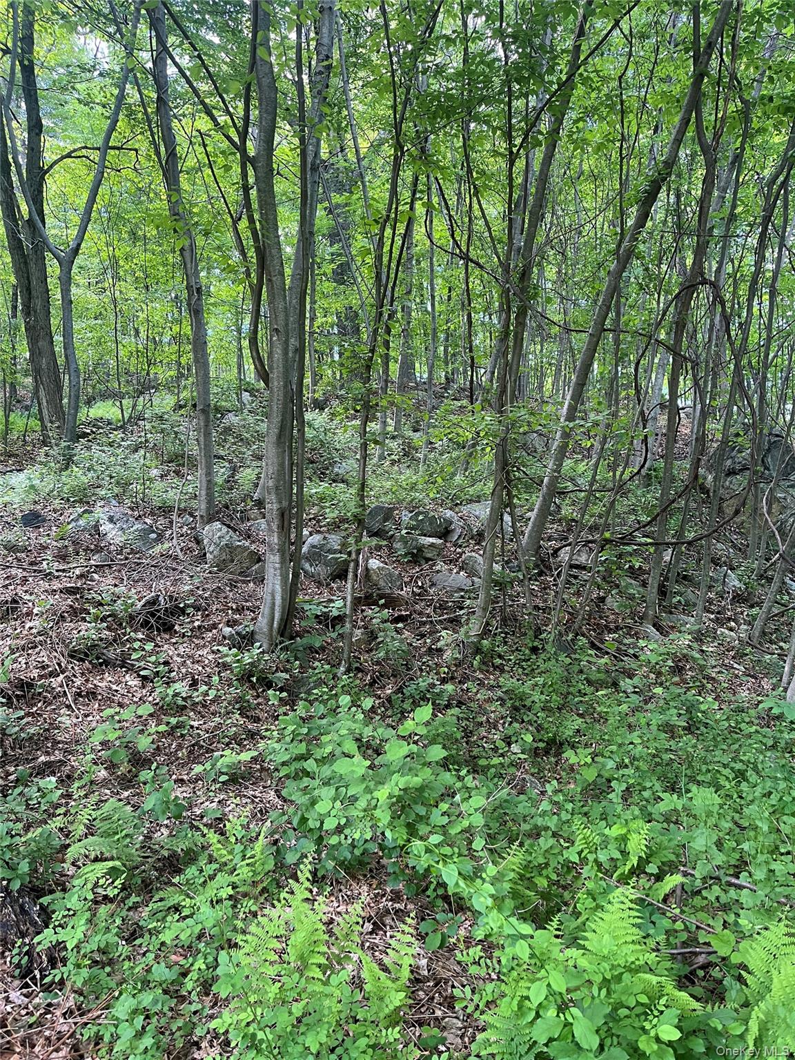 0 Old Church Road Property Photo 15