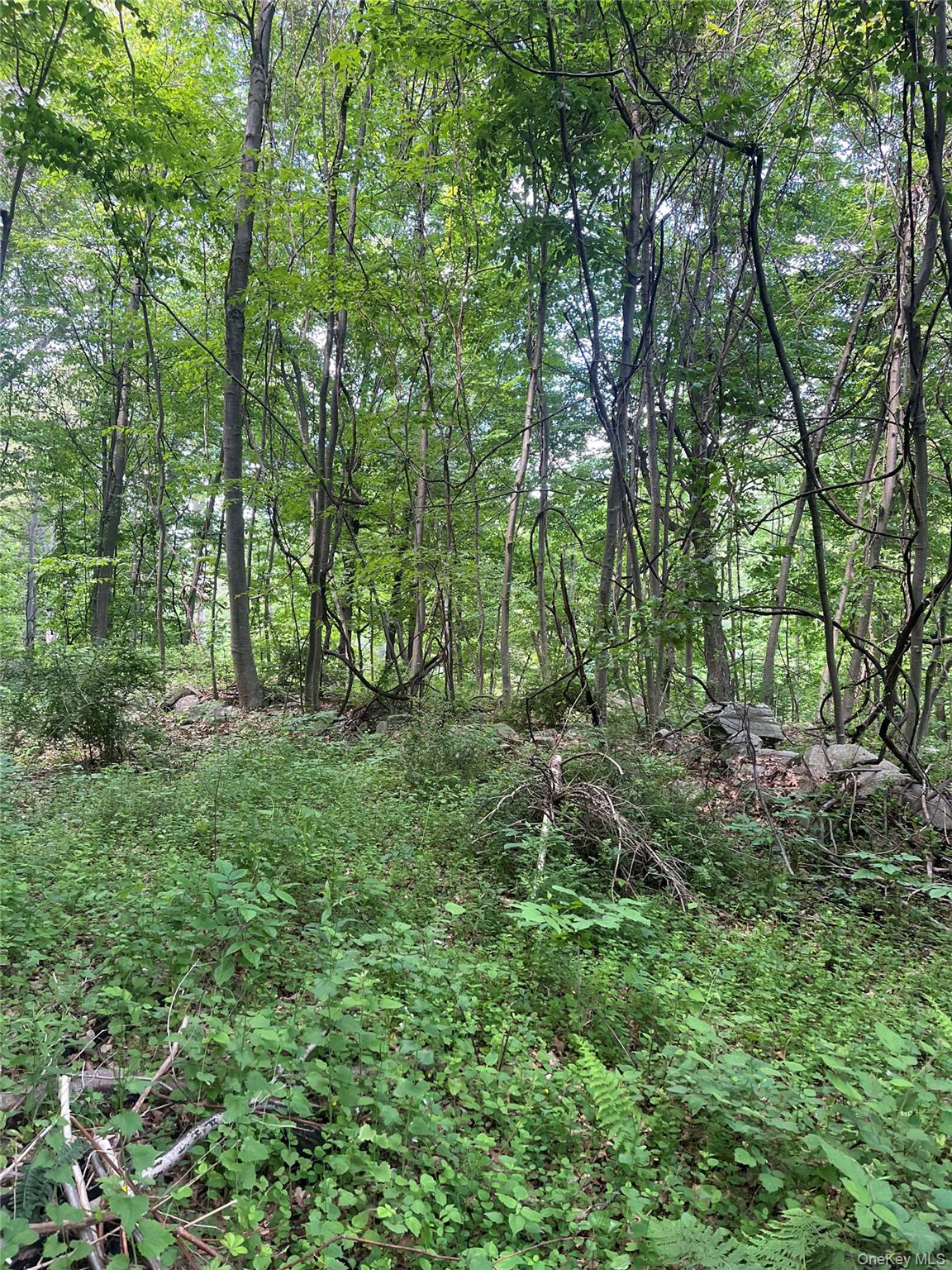 0 Old Church Road Property Photo 18