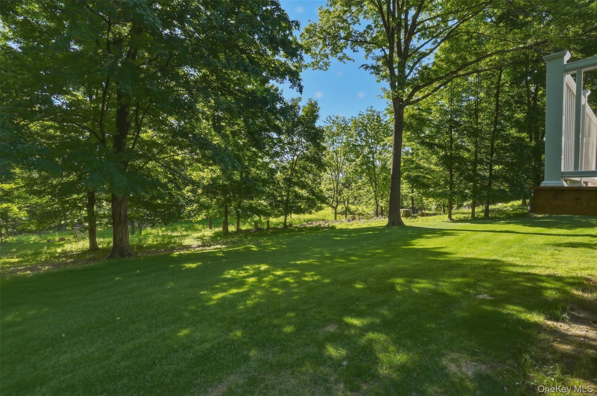 97 Walling Road Property Photo 27