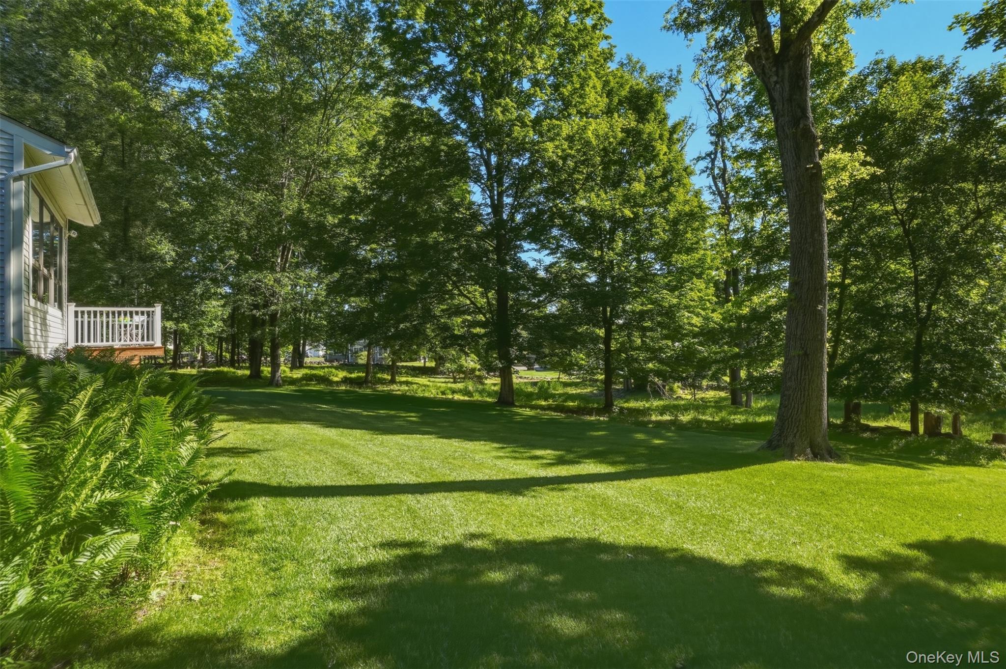 97 Walling Road Property Photo 28
