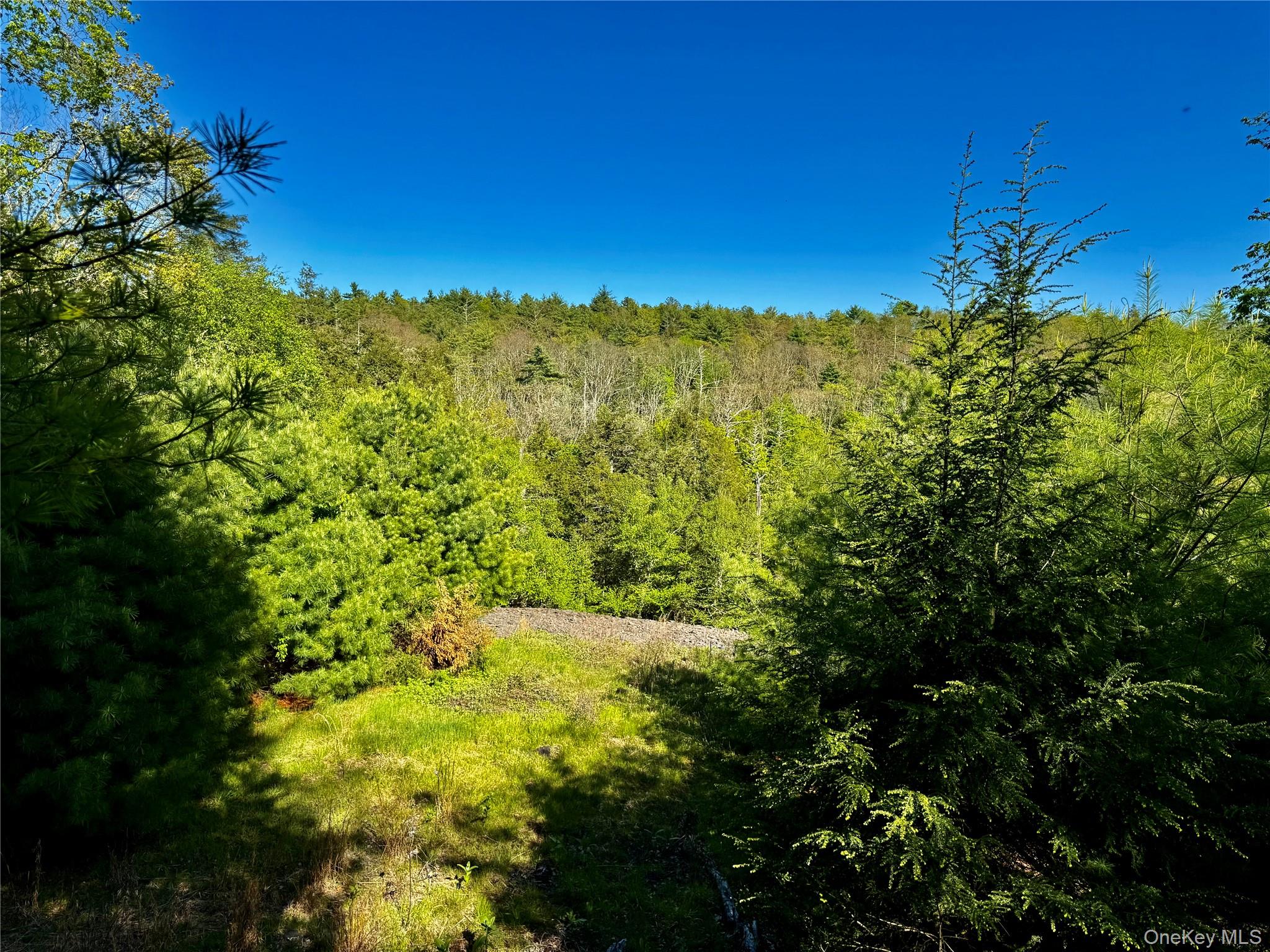 101 Stone Road Property Photo 1