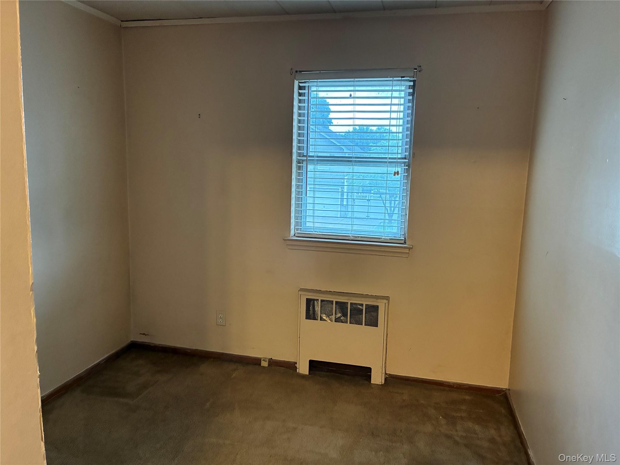 27 Elizabeth Drive Property Photo 9