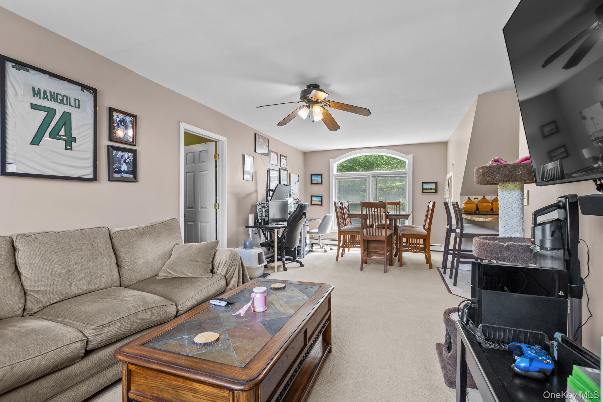 5 Mccarthy Road Property Photo 43