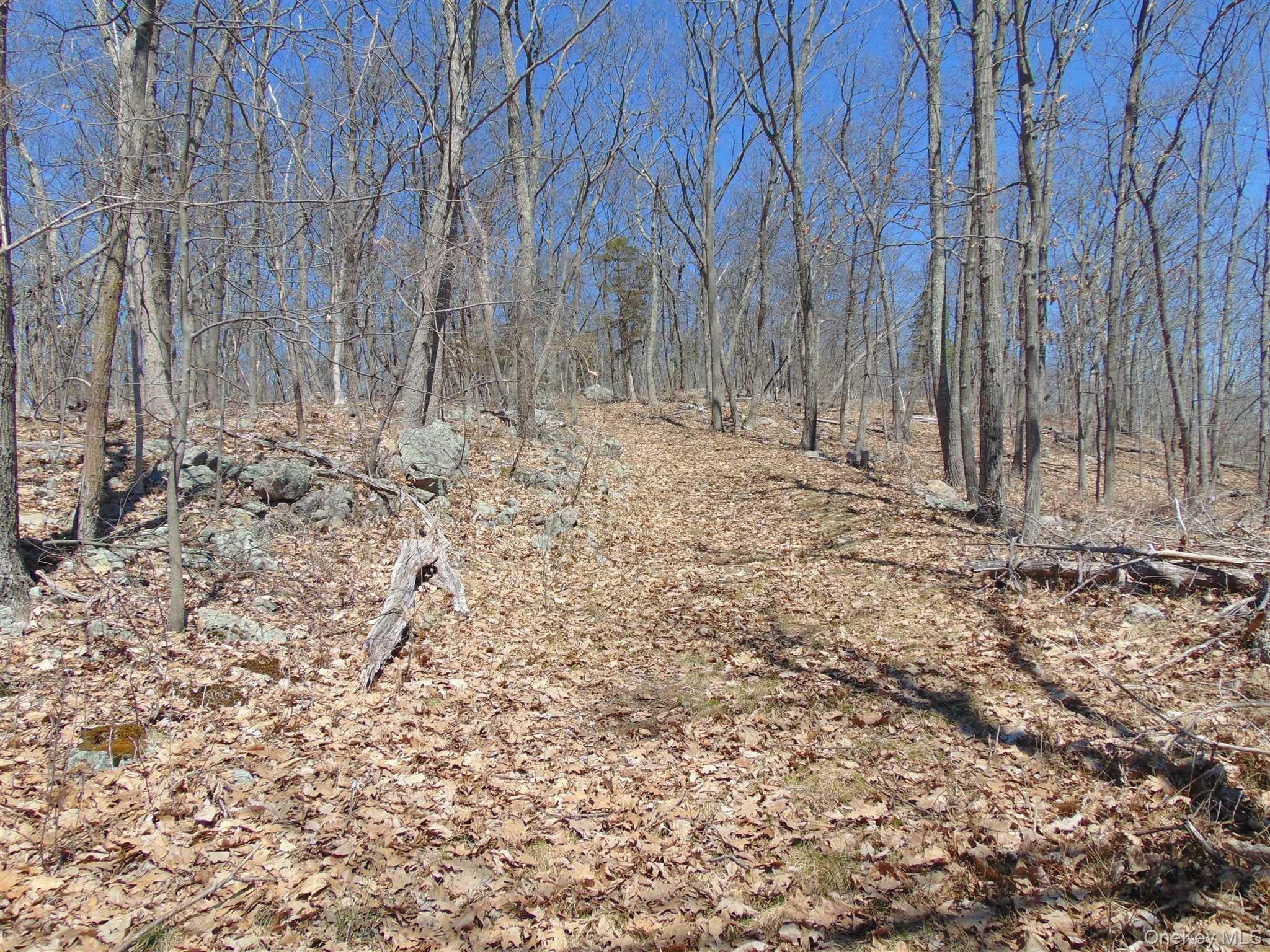 382 Cedar Hill Road Property Photo 2