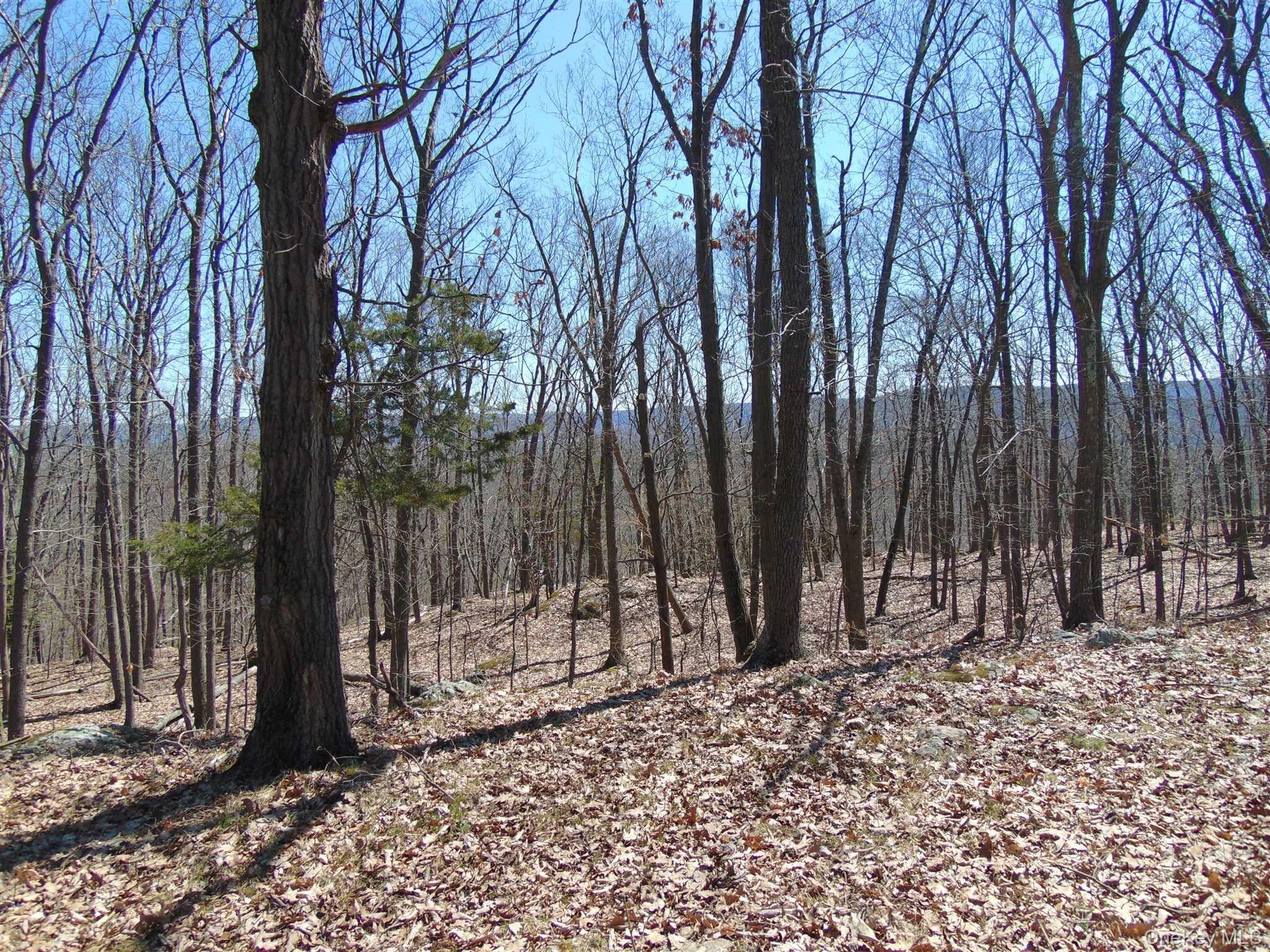 382 Cedar Hill Road Property Photo 3