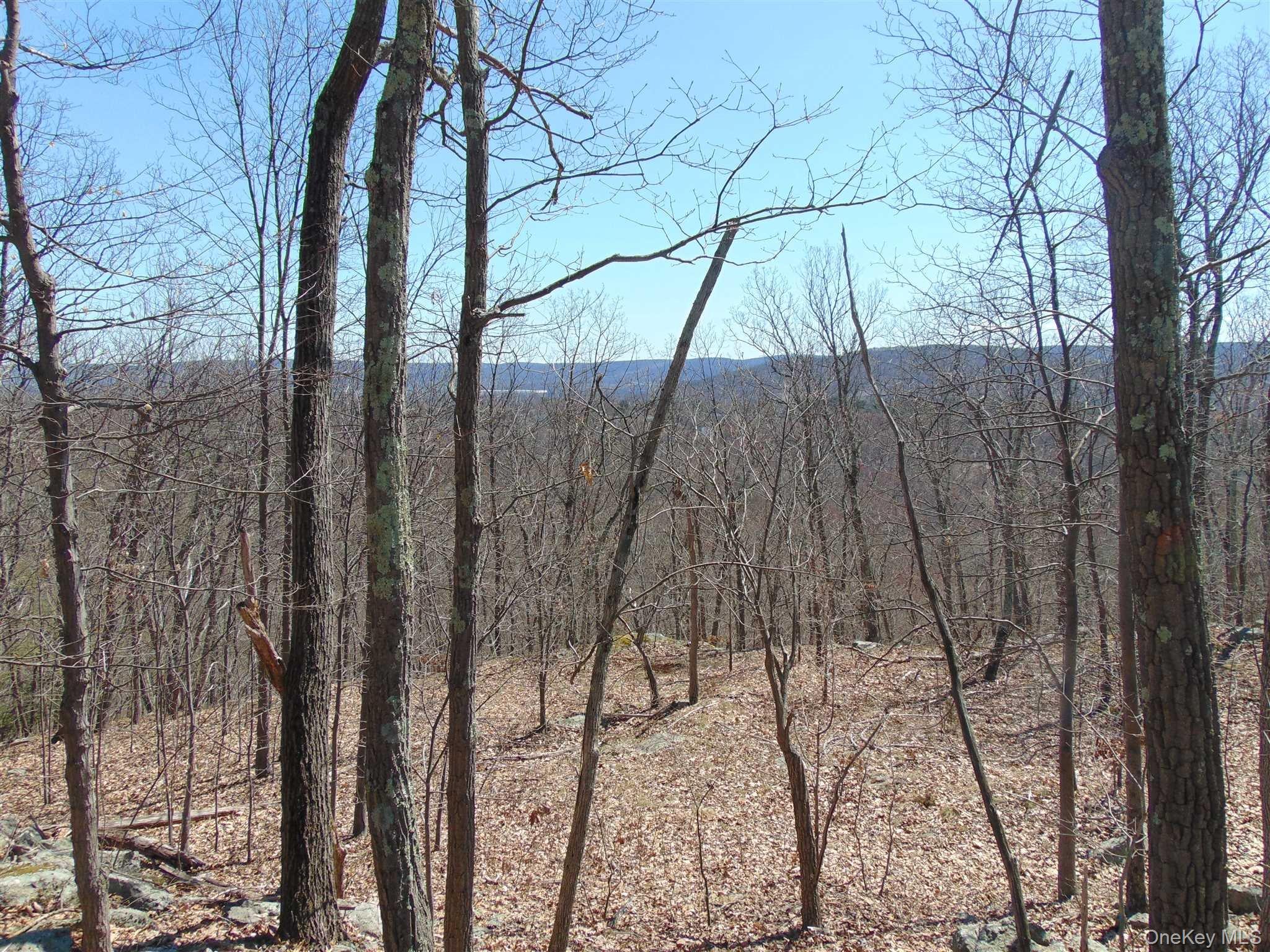 382 Cedar Hill Road Property Photo 4