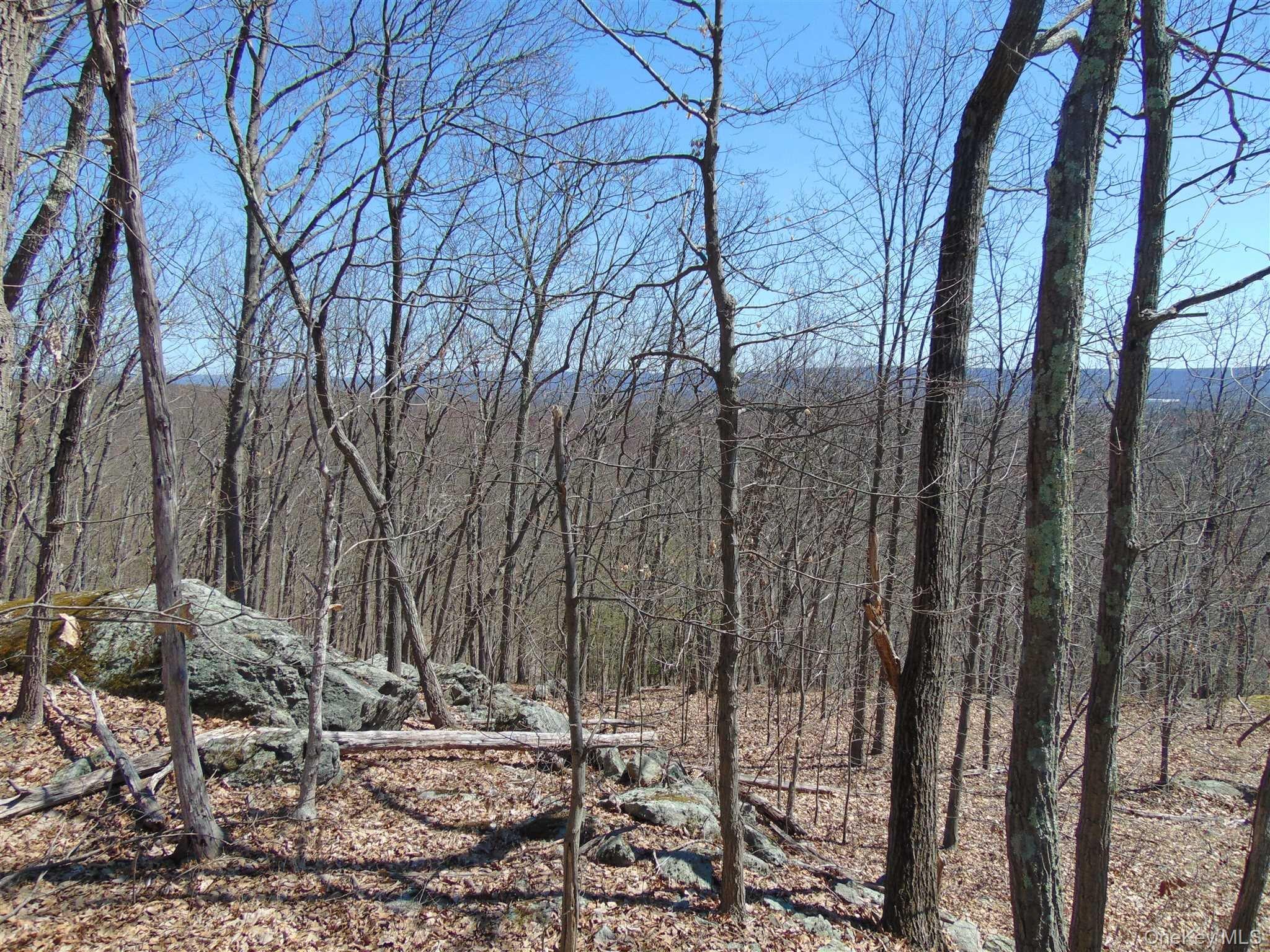 382 Cedar Hill Road Property Photo 5