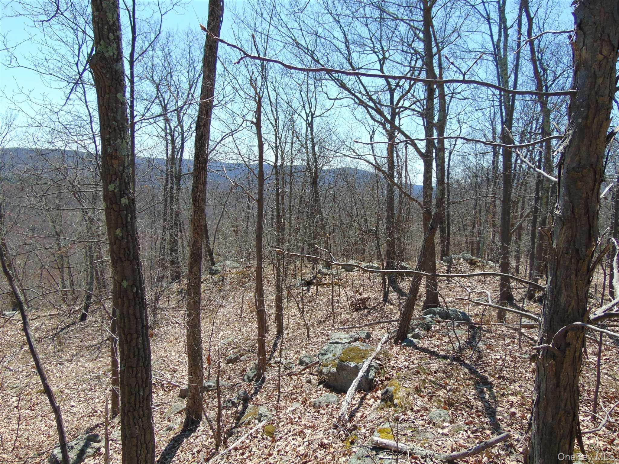 382 Cedar Hill Road Property Photo 7