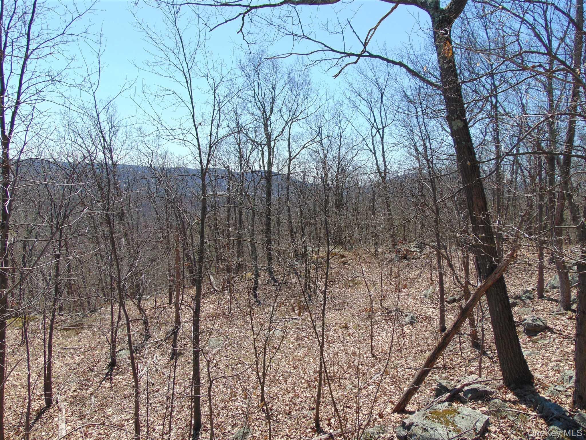 382 Cedar Hill Road Property Photo 8