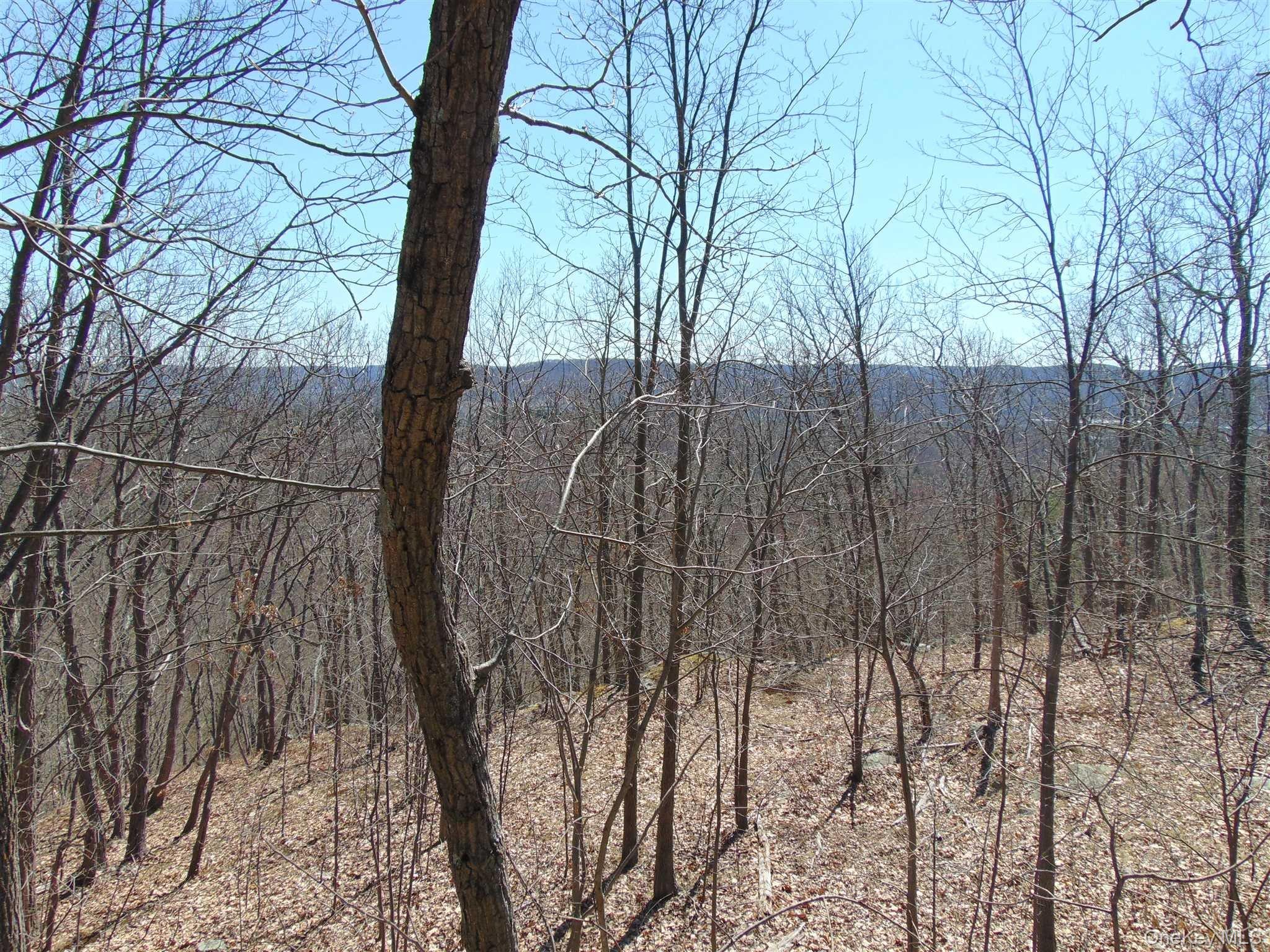 382 Cedar Hill Road Property Photo 9