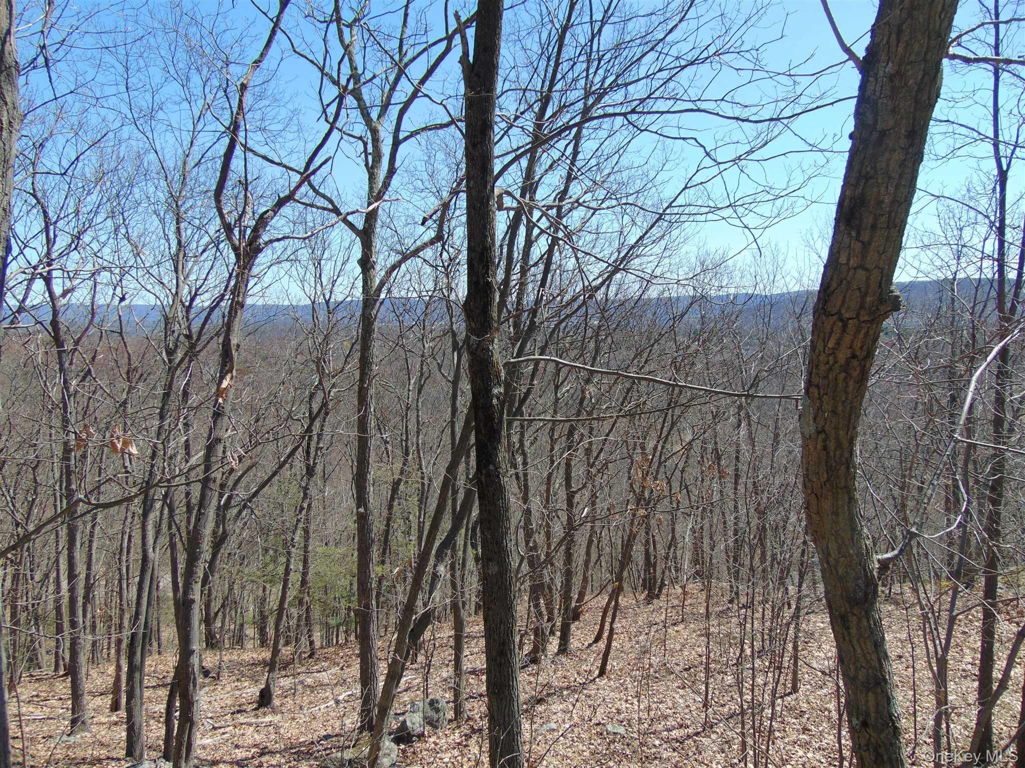 382 Cedar Hill Road Property Photo 10