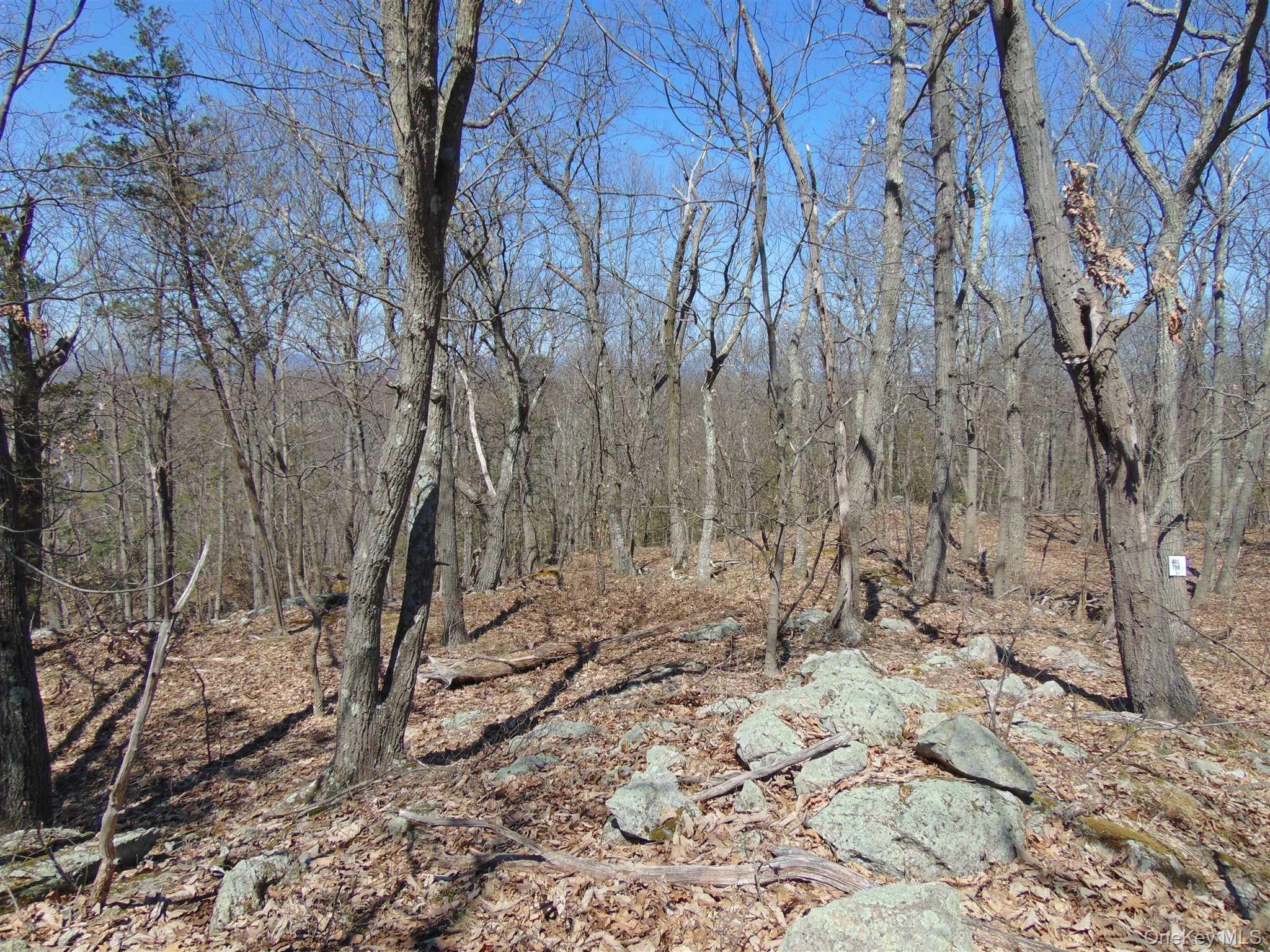 382 Cedar Hill Road Property Photo 12