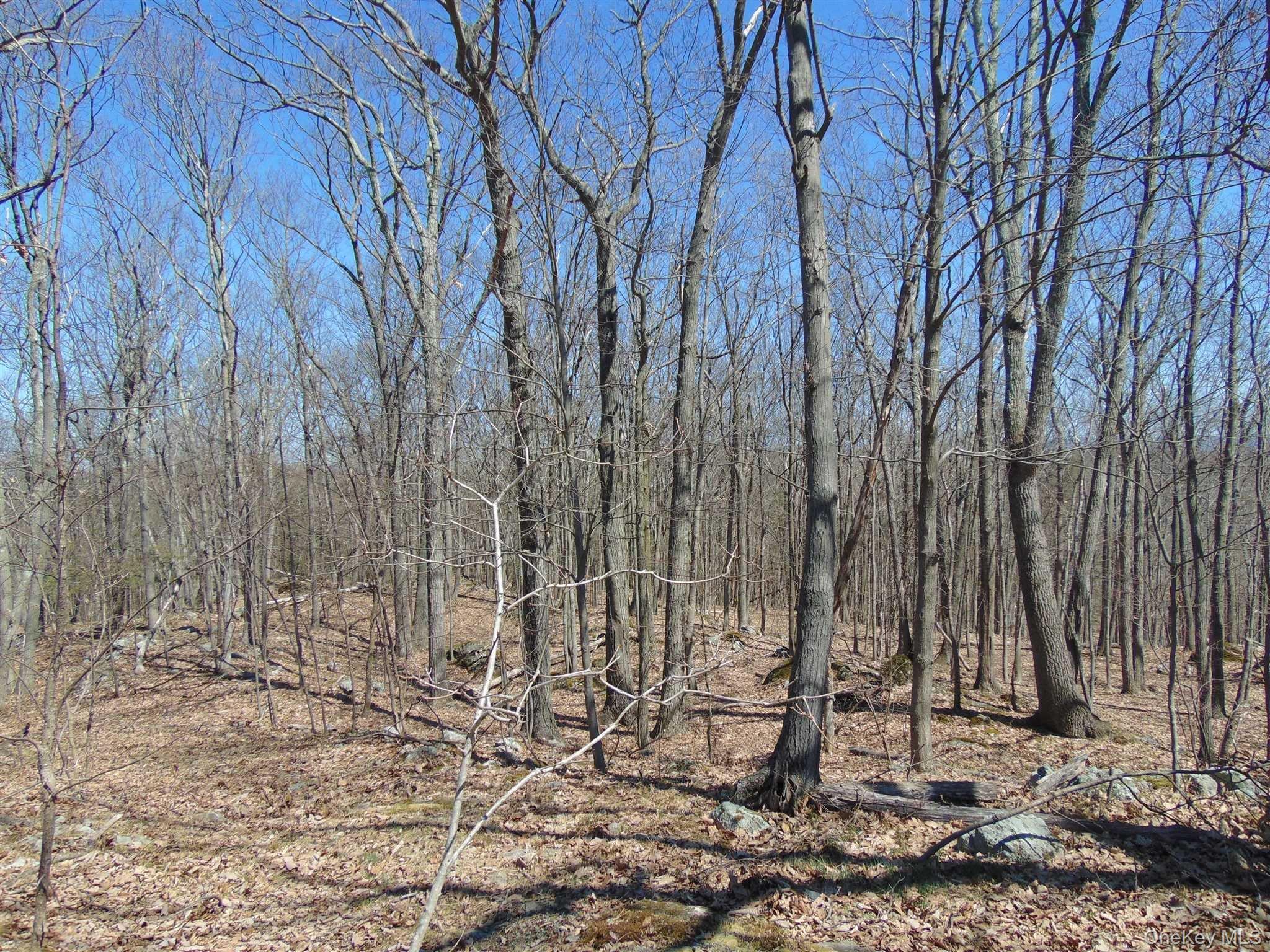 382 Cedar Hill Road Property Photo 14