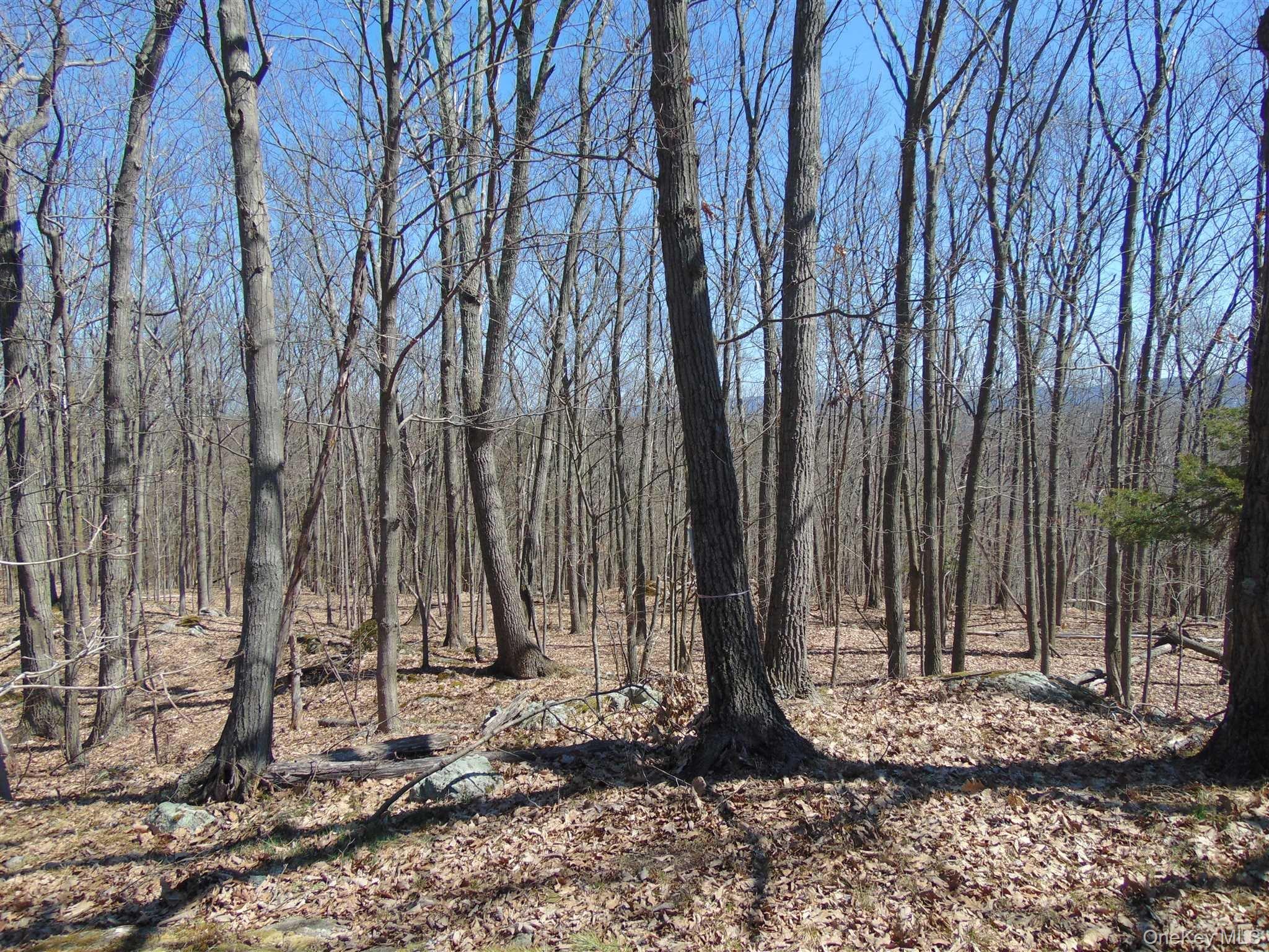 382 Cedar Hill Road Property Photo 15