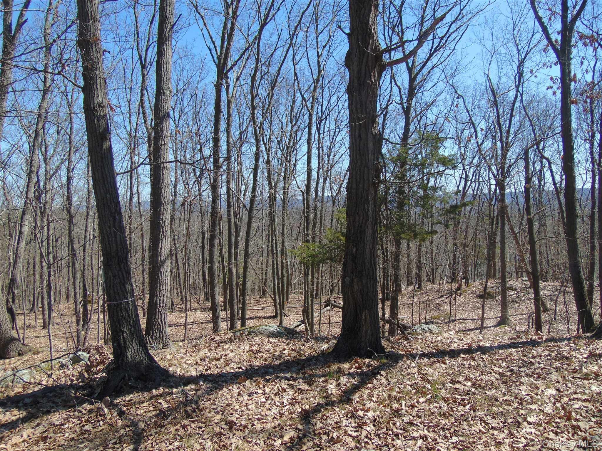 382 Cedar Hill Road Property Photo 16