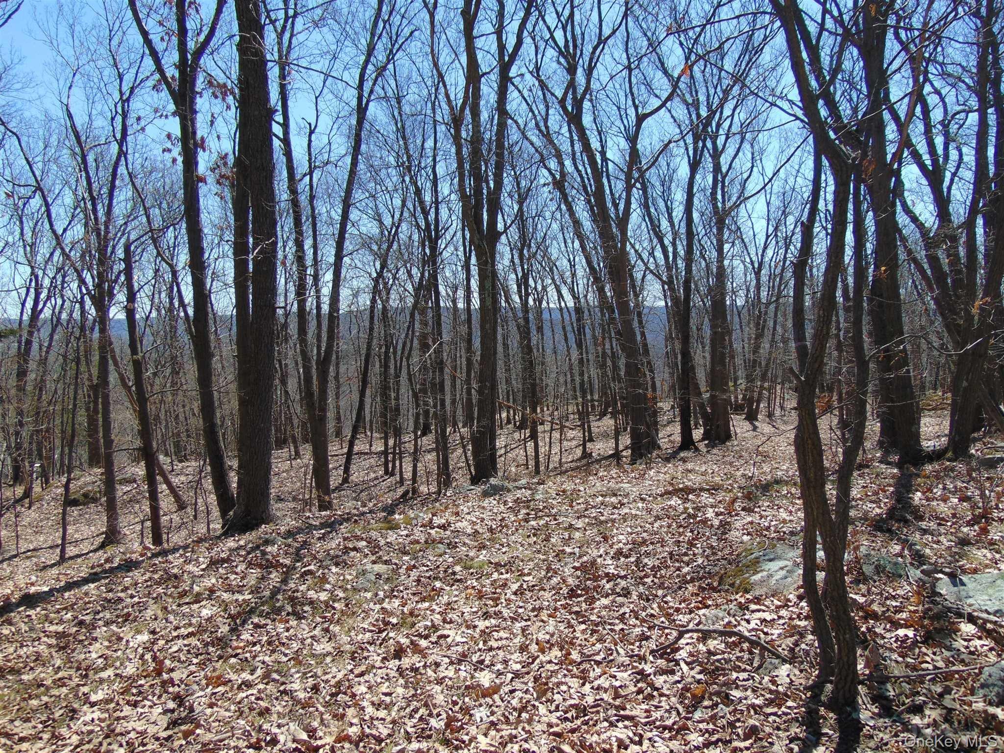 382 Cedar Hill Road Property Photo 18