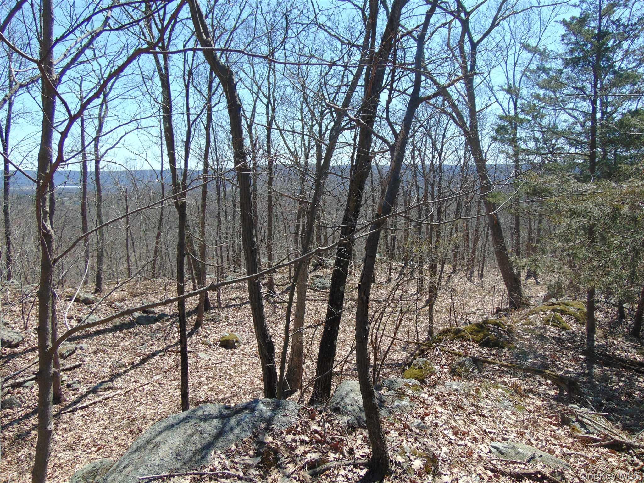 382 Cedar Hill Road Property Photo 20