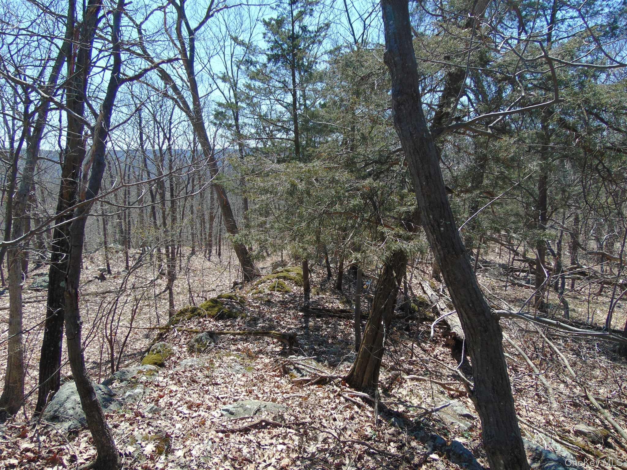 382 Cedar Hill Road Property Photo 21