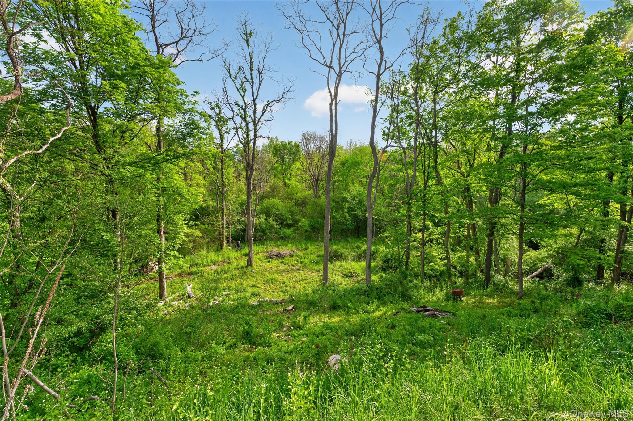 2588 Route 145 Property Photo 25