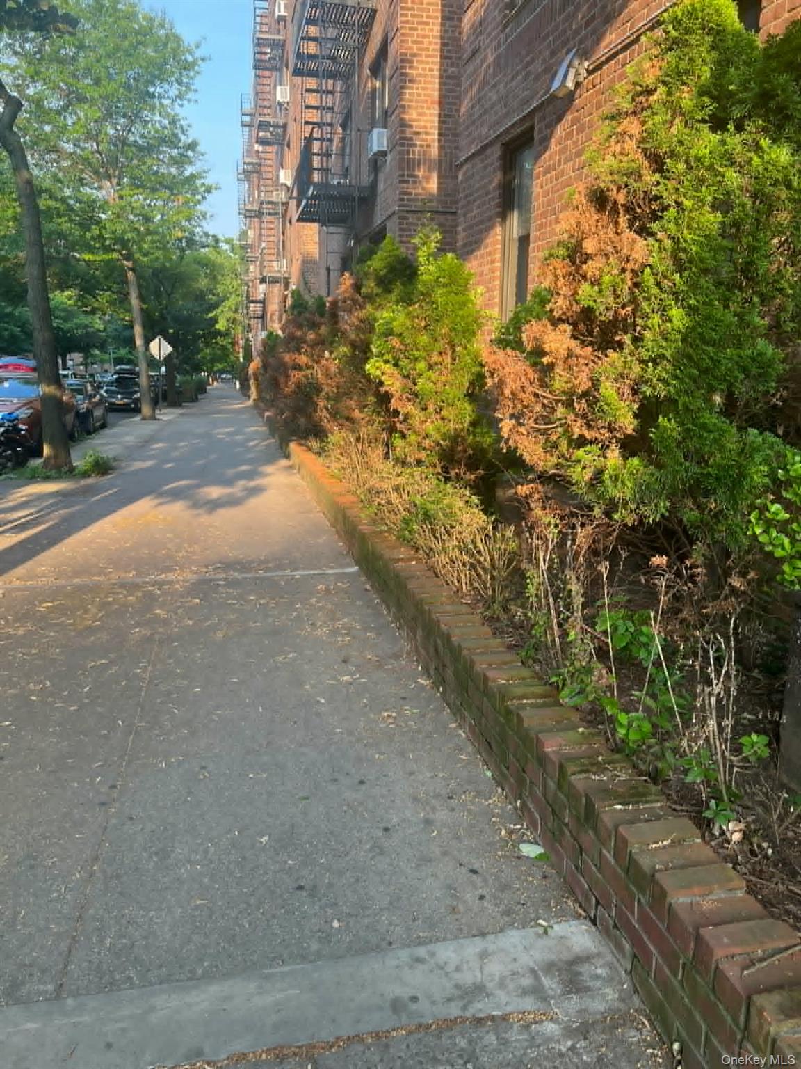 83-75 Woodhaven Boulevard Property Photo 3