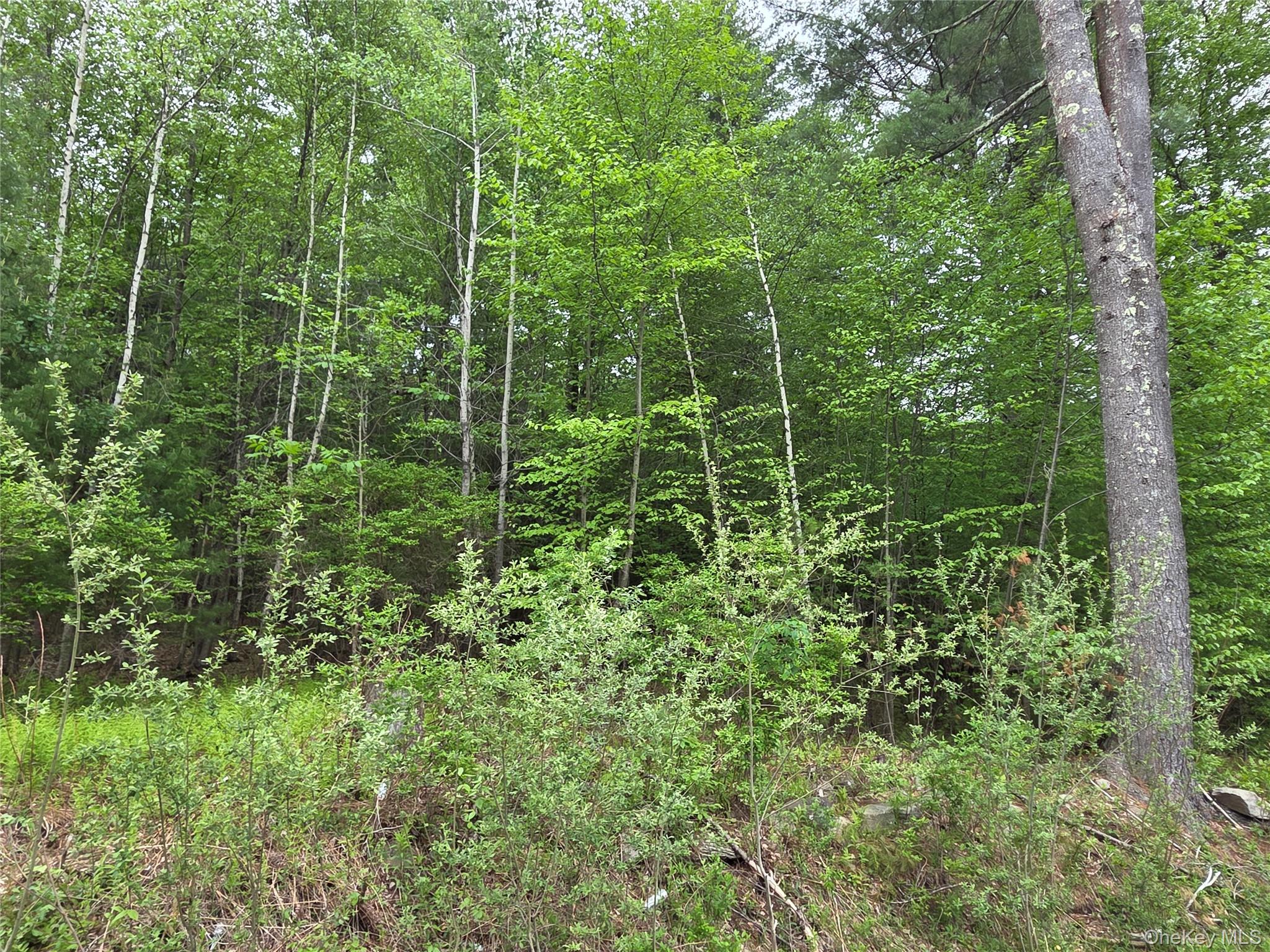 125 Zimmerman Road Property Photo 42
