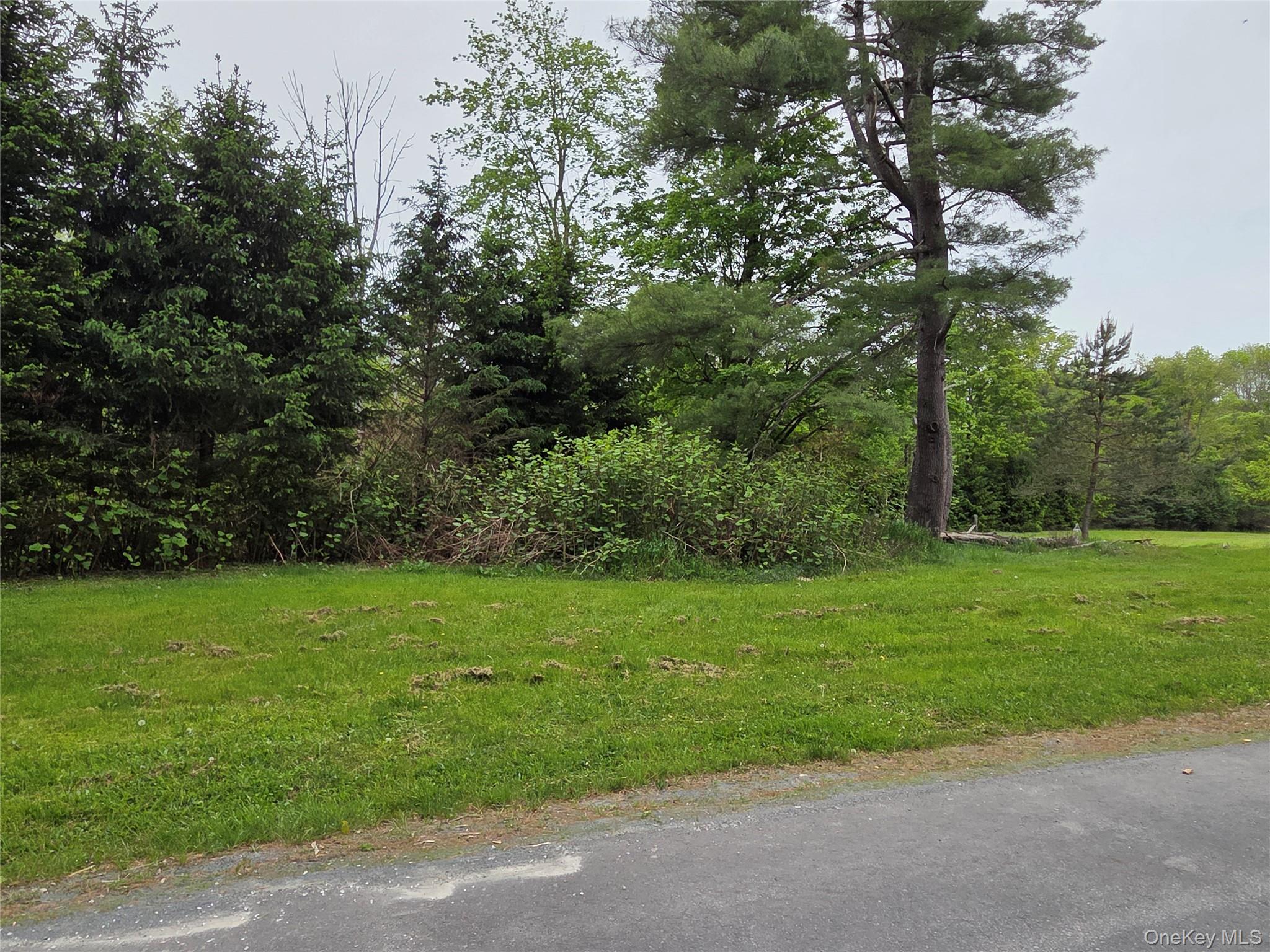 125 Zimmerman Road Property Photo 43