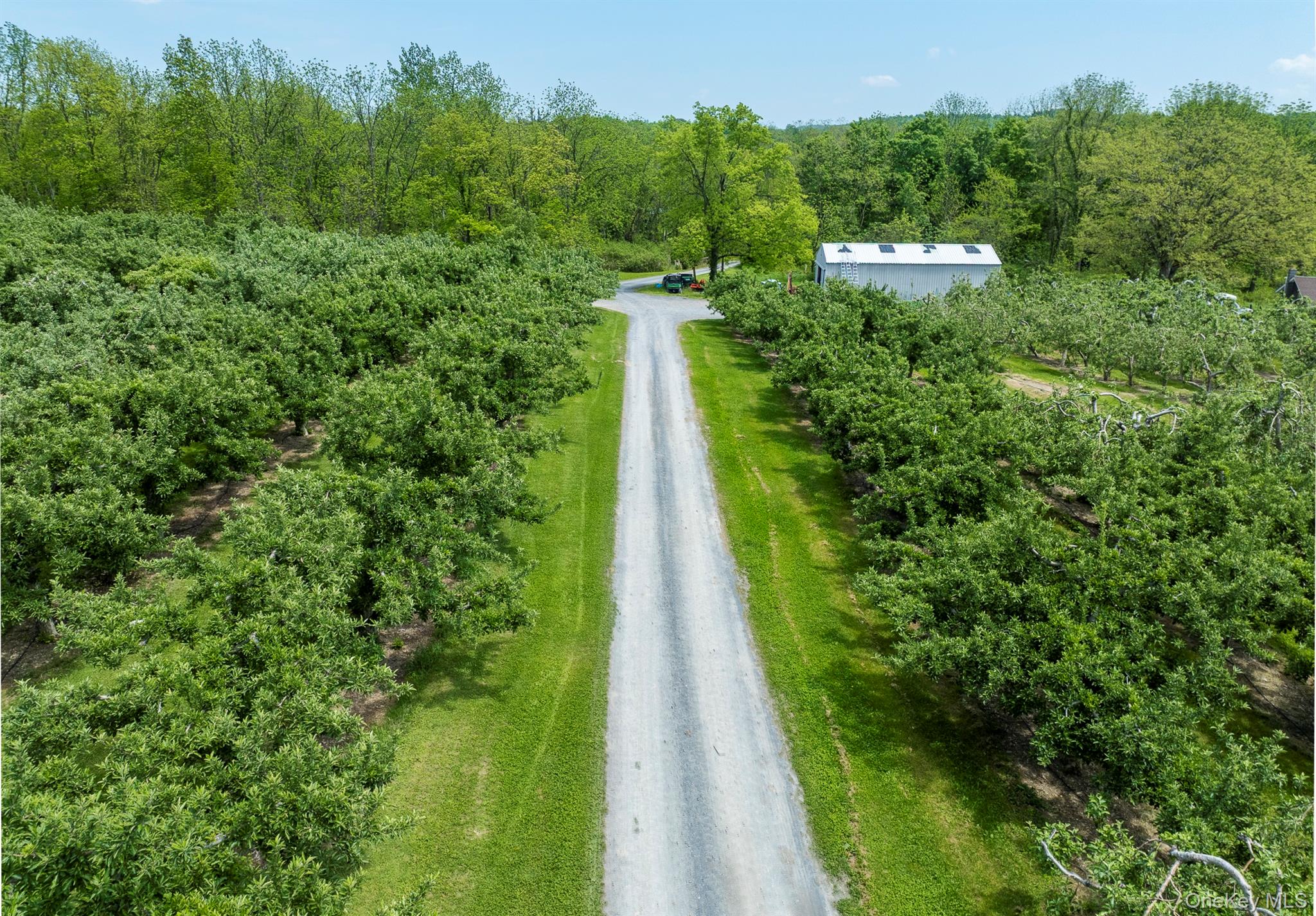 641 North Avenue Property Photo 8