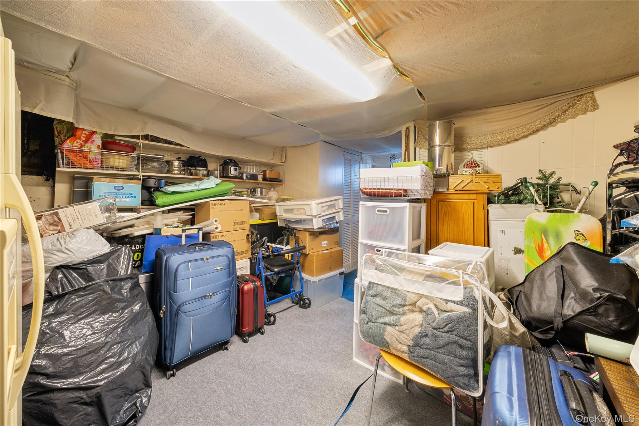 53 Jarvin Road Property Photo 29