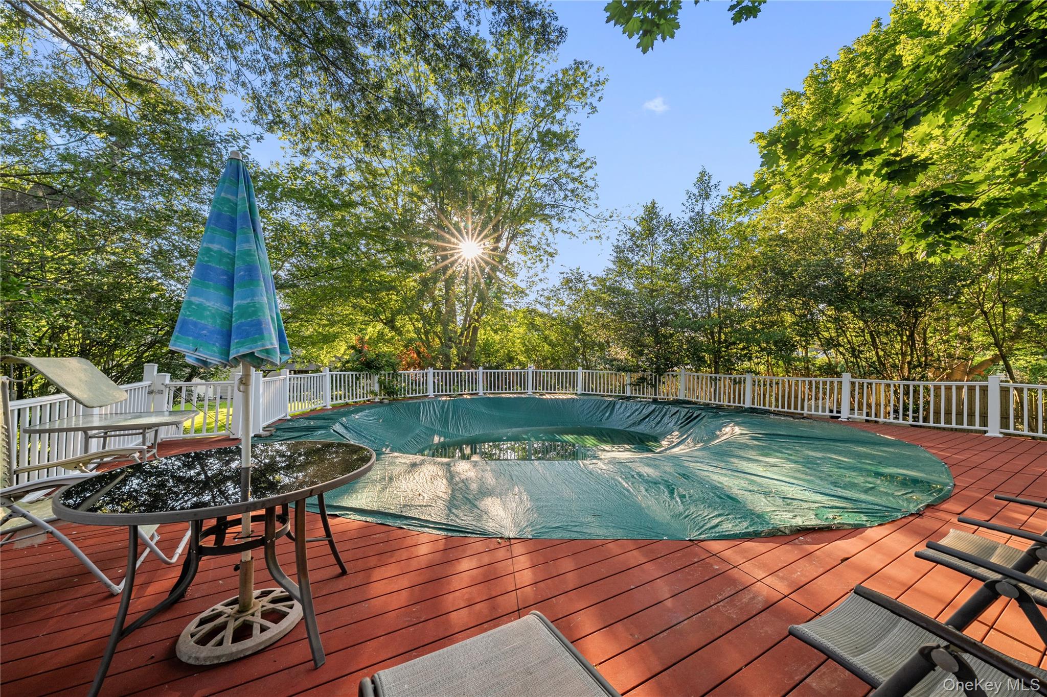 53 Jarvin Road Property Photo 41