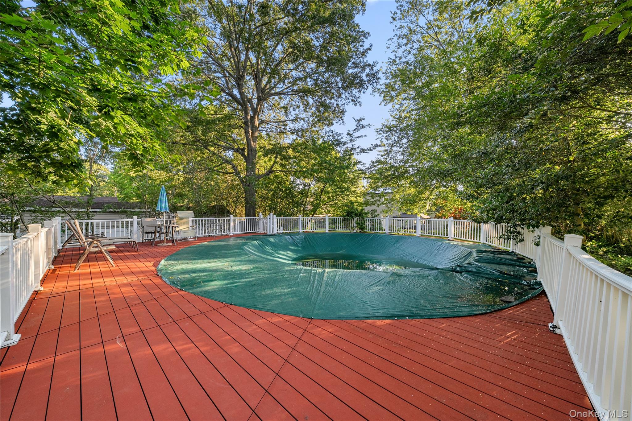 53 Jarvin Road Property Photo 42