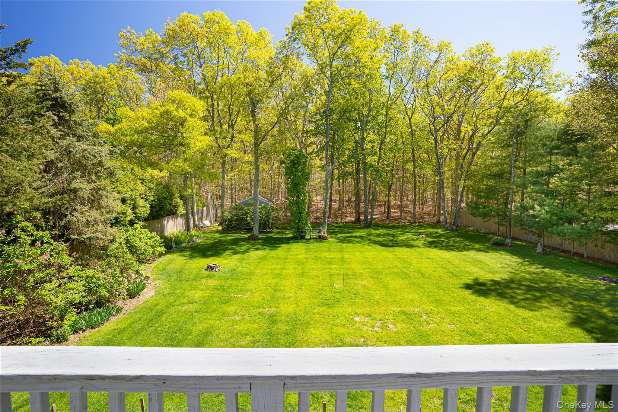 50 Runnymeade Drive Property Photo 19