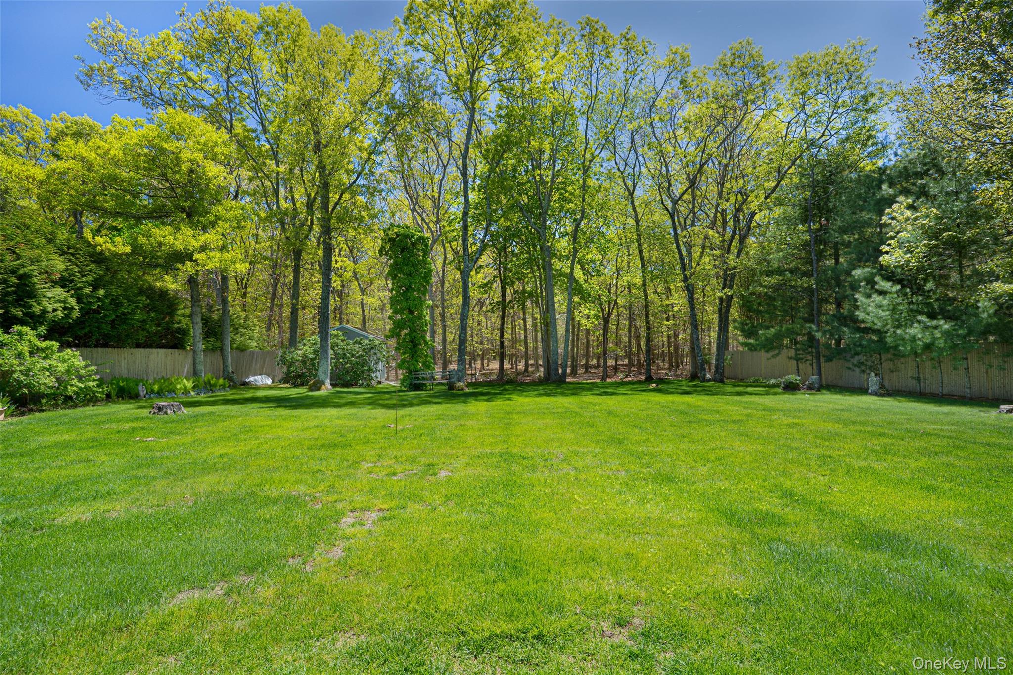 50 Runnymeade Drive Property Photo 29