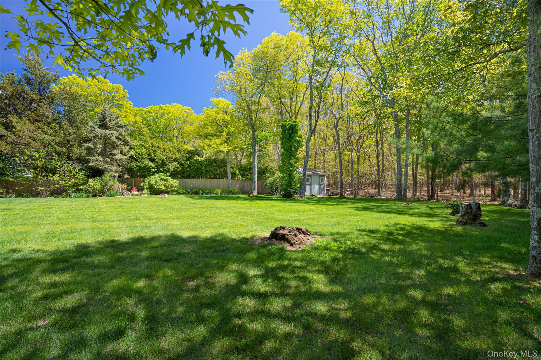 50 Runnymeade Drive Property Photo 30