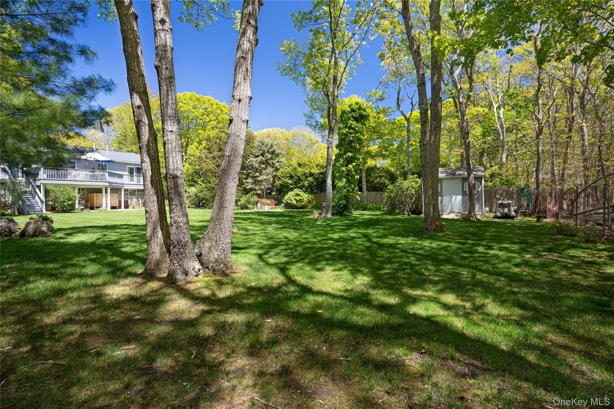 50 Runnymeade Drive Property Photo 31