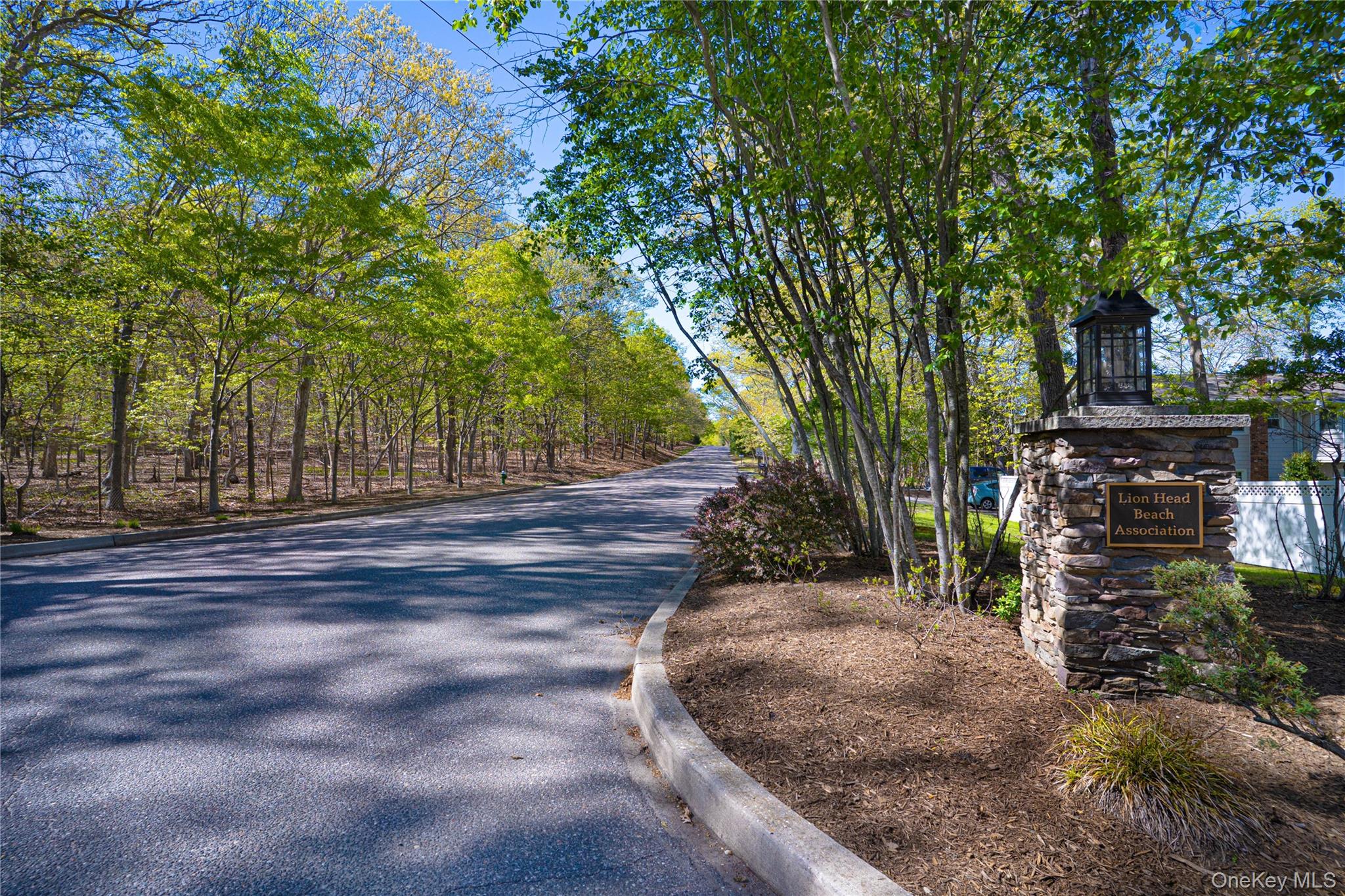 50 Runnymeade Drive Property Photo 47