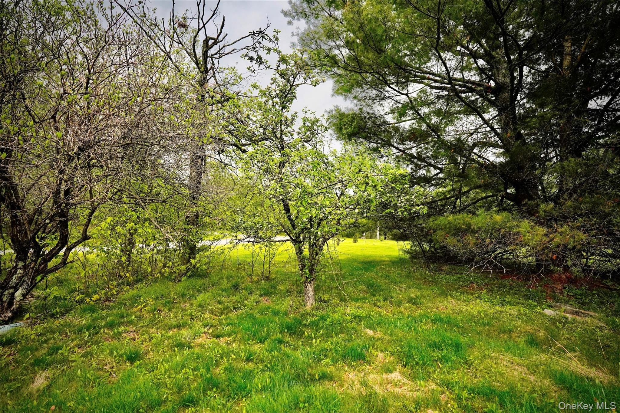 138 Old Hunter Road Property Photo 16