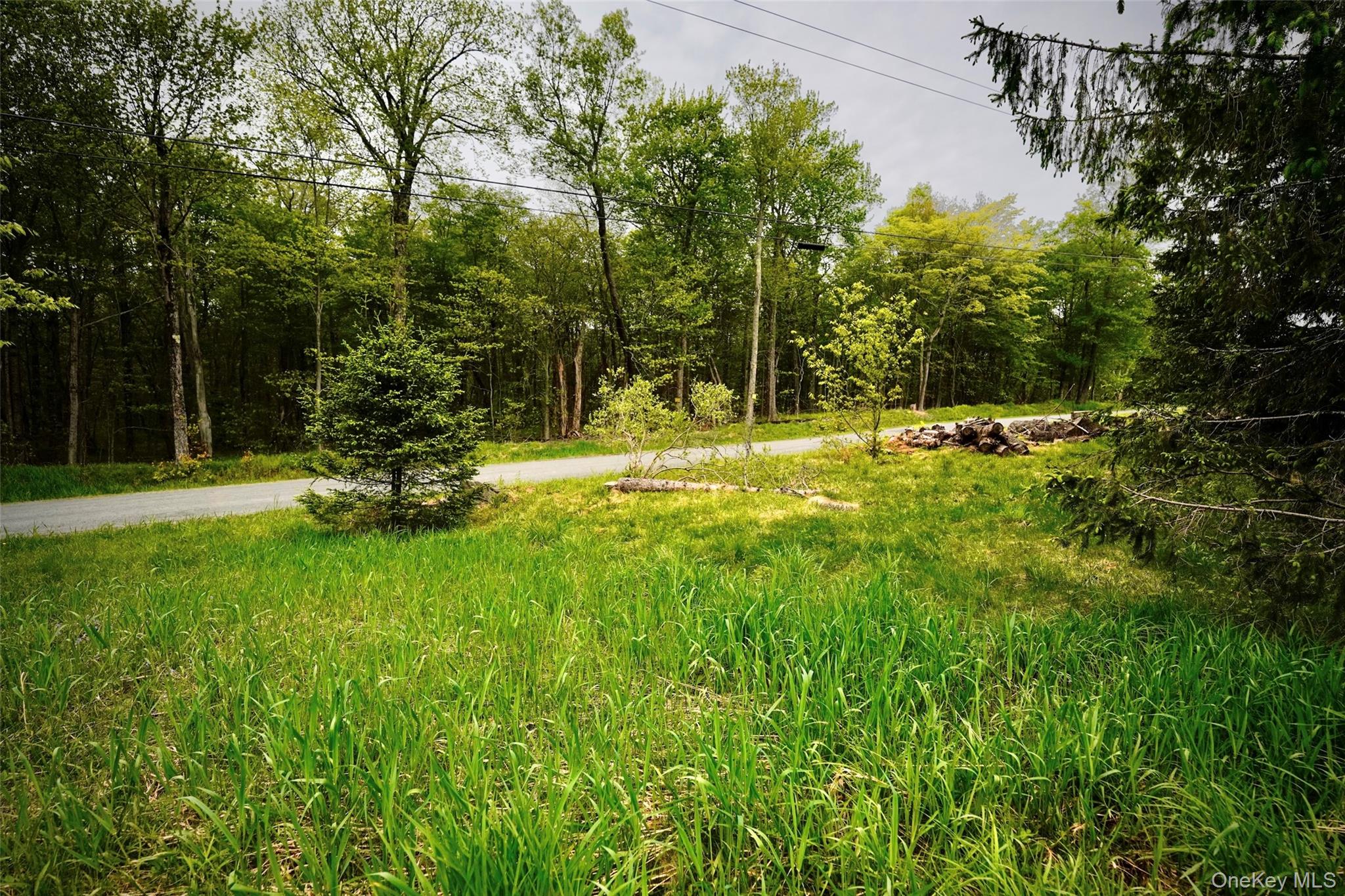 138 Old Hunter Road Property Photo 29