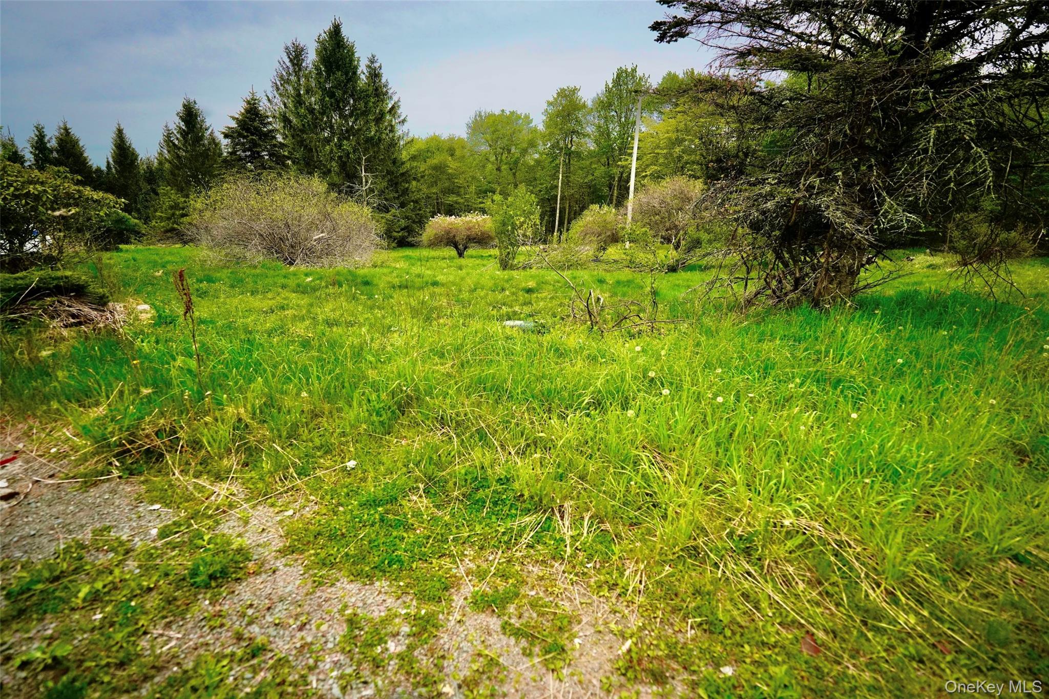 138 Old Hunter Road Property Photo 34