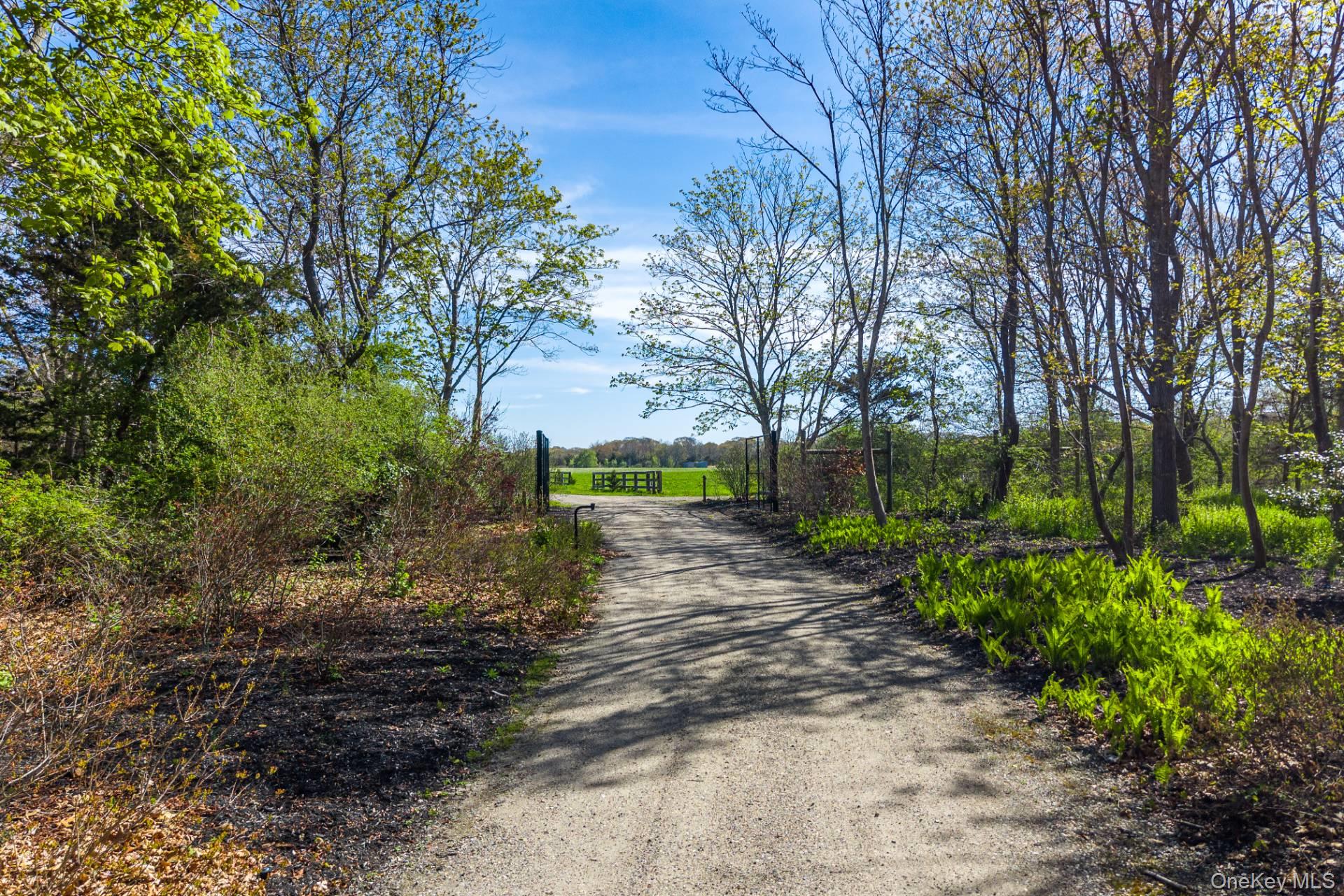 3123 & 3595 Skunk Lane Property Photo 1