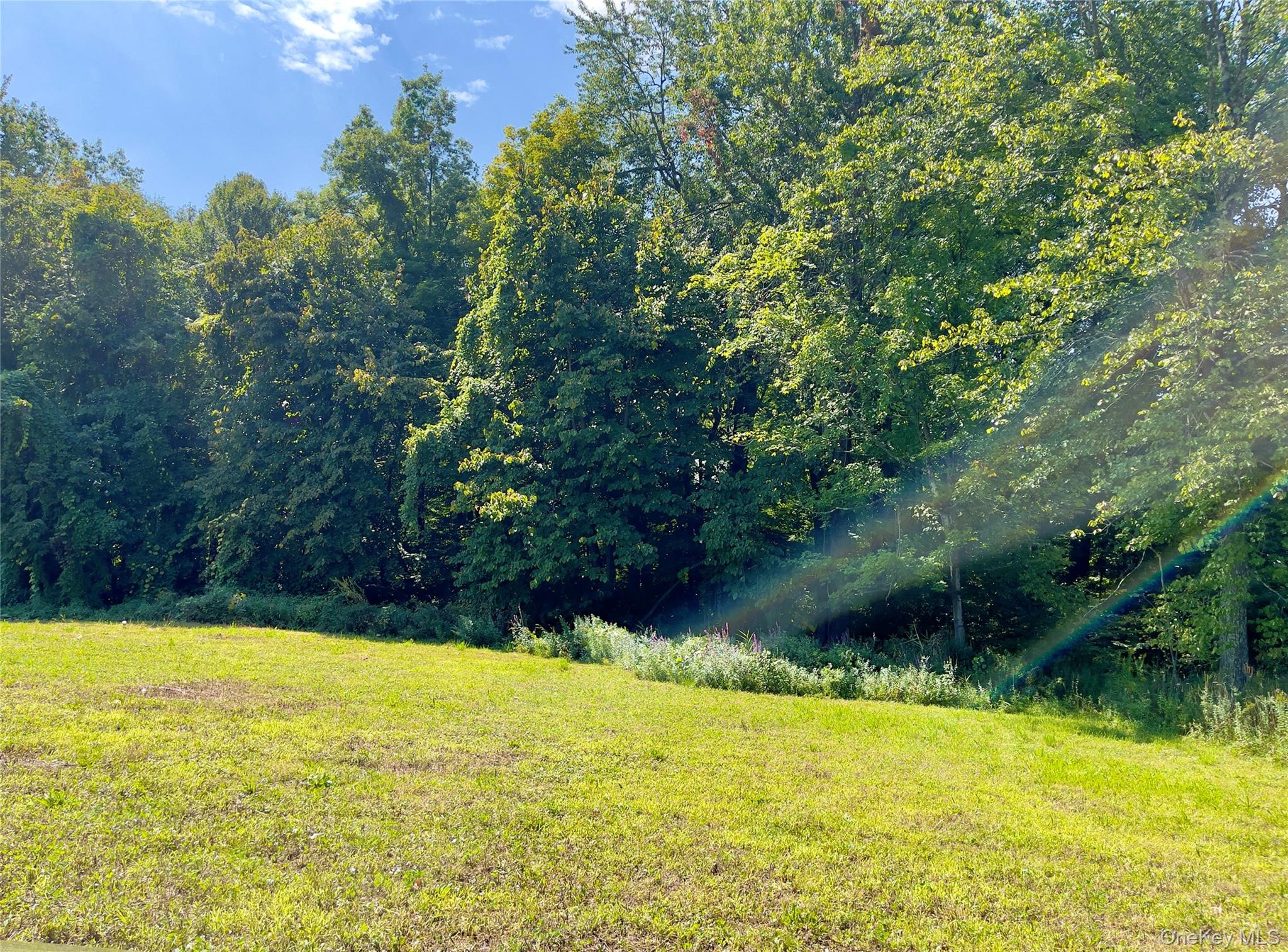 27 Picnic Woods Road Property Photo 3