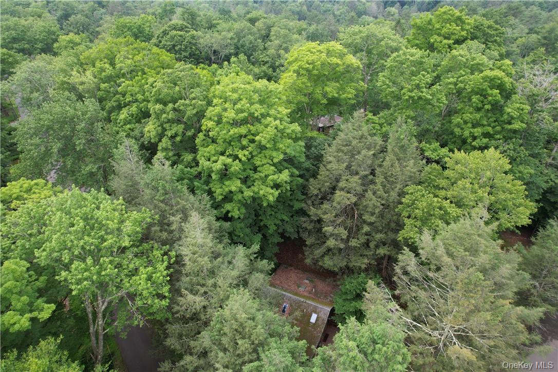 38 W Adirondack Trail Property Photo 26