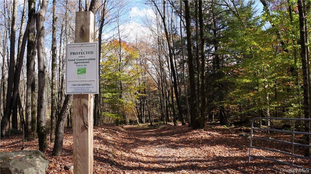 38 W Adirondack Trail Property Photo 31