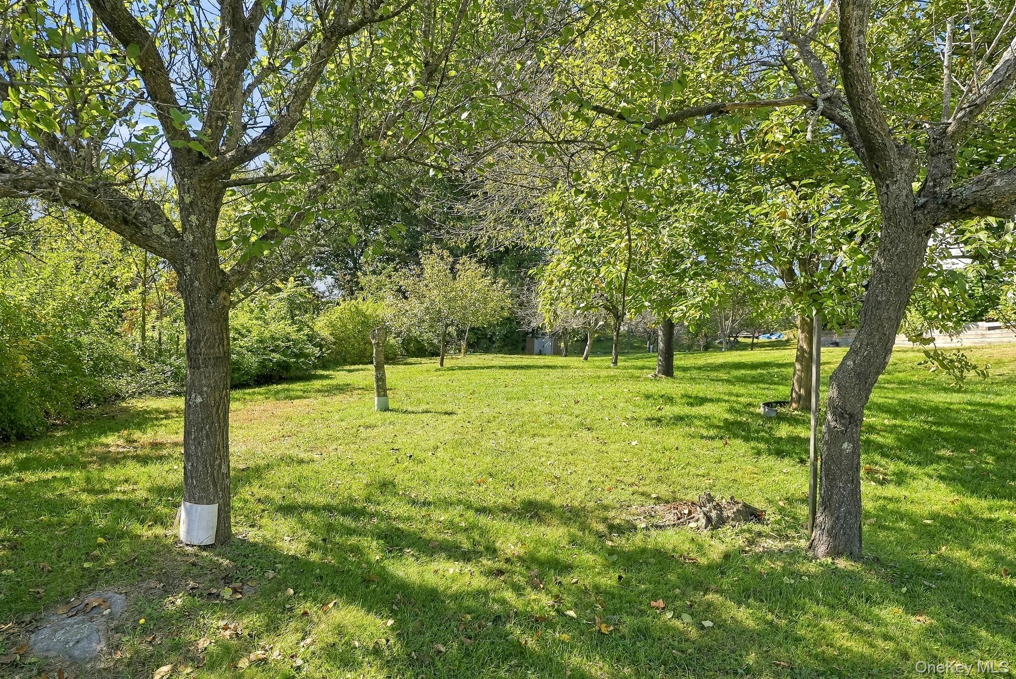 20 Ely Road Property Photo 45
