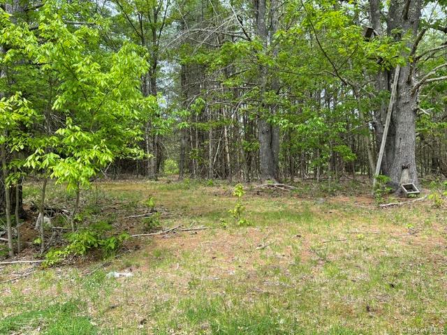 467 Roosevelt Avenue Property Photo 4