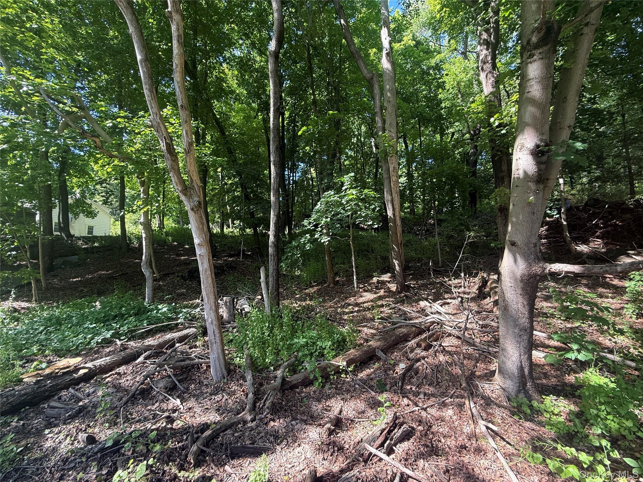 Rt-292 Property Photo 3