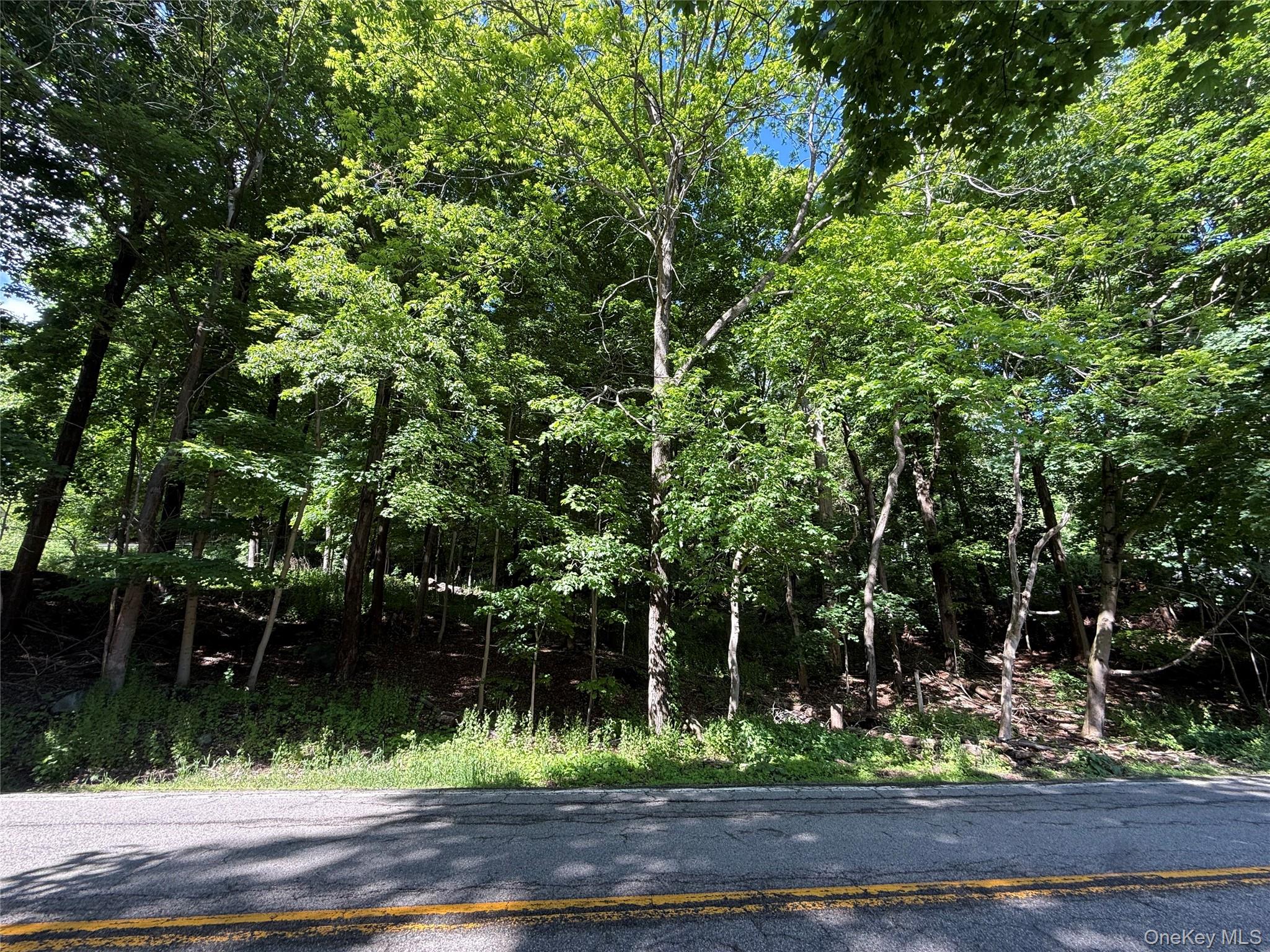 Rt-292 Property Photo 5