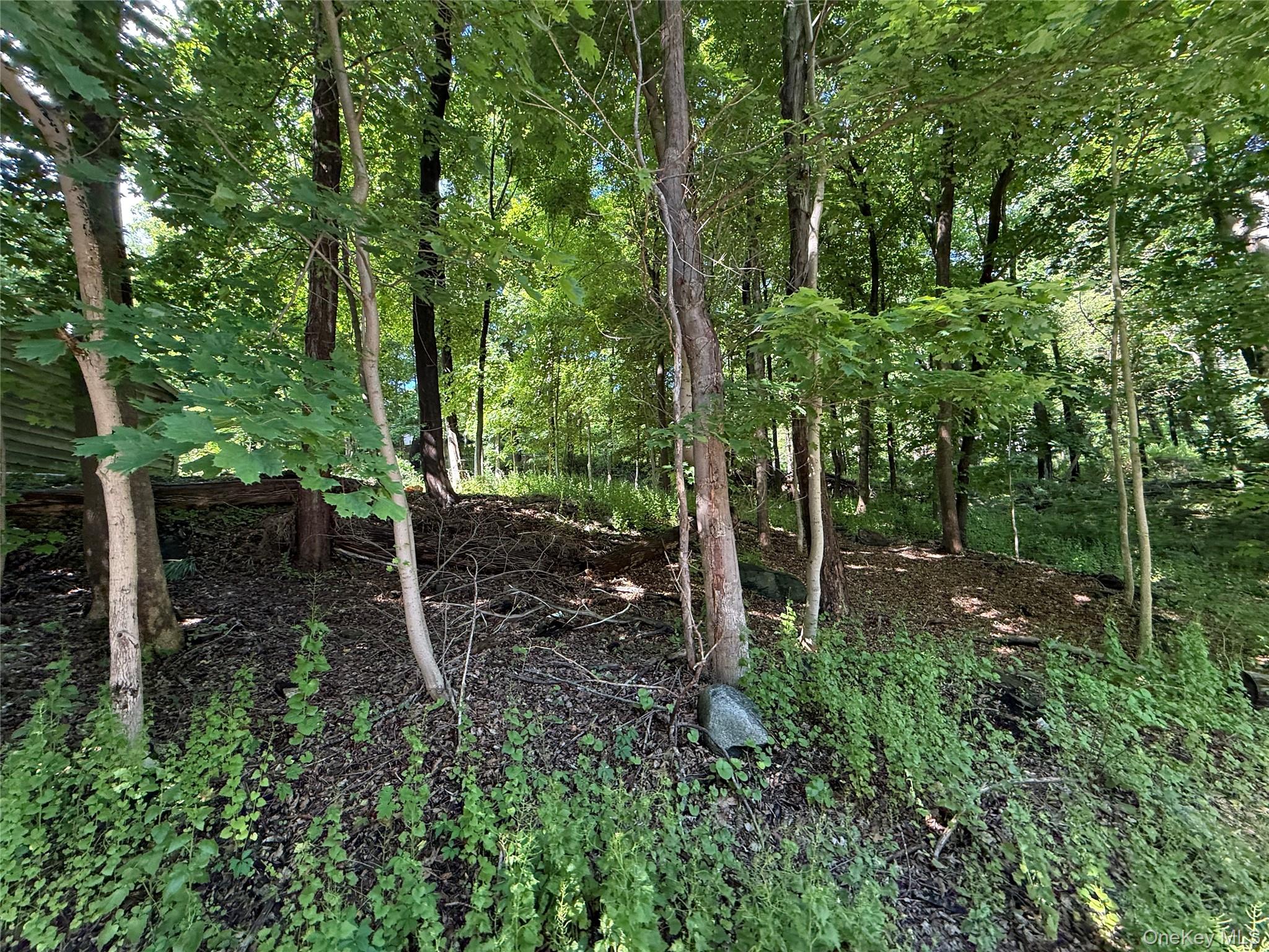 Rt-292 Property Photo 6